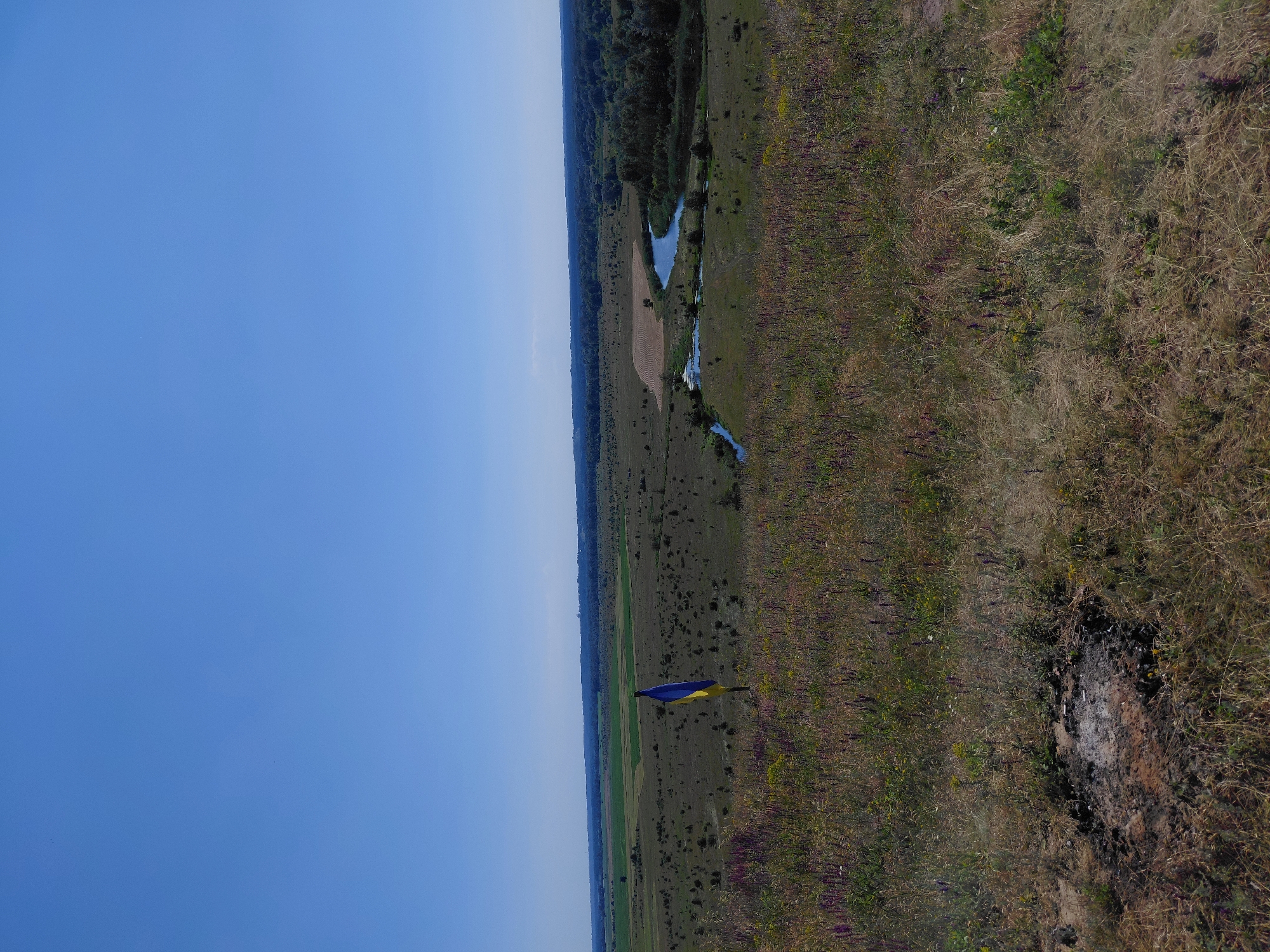 The image shows a wide, panoramic view of a rural landscape under a clear blue sky. In the foreground, there is a grassy area with wildflowers and a small, dark, charred patch of ground. A Ukrainian flag, with its blue and yellow colors, stands on a pole in the middle ground, positioned on a slight rise. Beyond the flag, the terrain slopes down to a valley. A winding blue river is visible in the valley, with a treeline on the far side and fields further in the distance. The landscape appears to be located in or around the village of Ustyvytsia, Ukraine, based on the presence of the national flag and the general rural setting common to the region. The scene is static and shows no people or immediate activity, depicting a natural landscape.