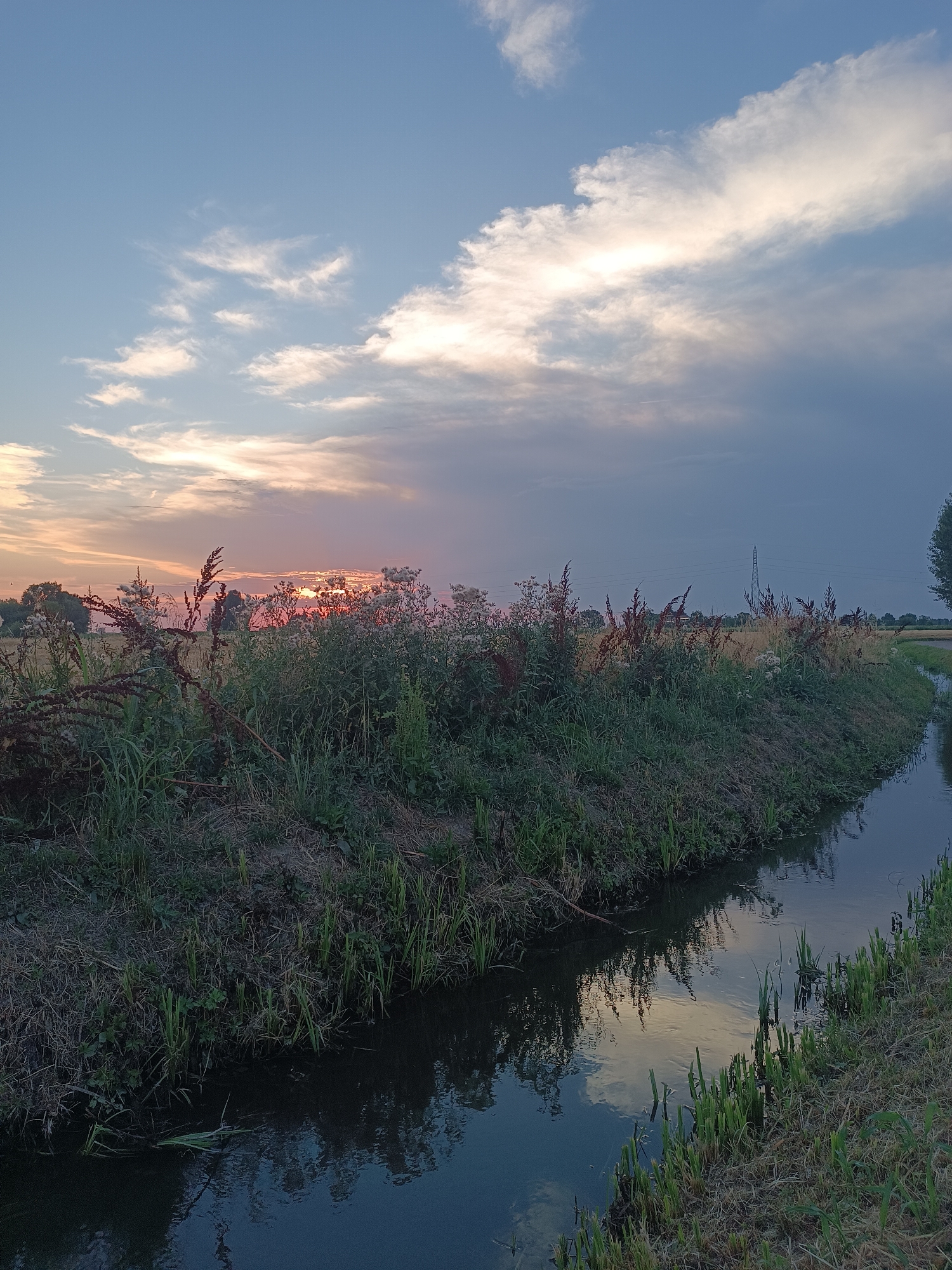 This is a vertical, landscape photograph taken at dusk in Viadana, Italy. The scene depicts a rural setting with a narrow, dark body of water flowing along the right side of the frame, reflecting the sky and surrounding vegetation. The water appears to be a canal or ditch, bordered by grassy banks and taller weeds.
The foreground is dominated by lush green and brown vegetation, with some dry, reddish-brown stalks of plants growing taller than the surrounding grass. In the background, a field of dry, golden crops stretches towards a line of trees. Beyond the field, a transmission tower is visible against the darkening sky.
The sky is a significant element of the photograph, transitioning from the warm hues of sunset on the left to a cooler, dusky blue on the right. Wispy clouds are scattered across the sky, some illuminated by the fading sunlight, creating a dramatic and serene atmosphere. The time of day is clearly dusk, as indicated by the soft, warm light and the darkening sky.
There are no people or specific objects, other than the natural elements and the man-made transmission tower and canal. The overall mood of the image is peaceful and tranquil, evoking a sense of calm as day transitions into night in a rural Italian landscape. No text is visible in the image.
