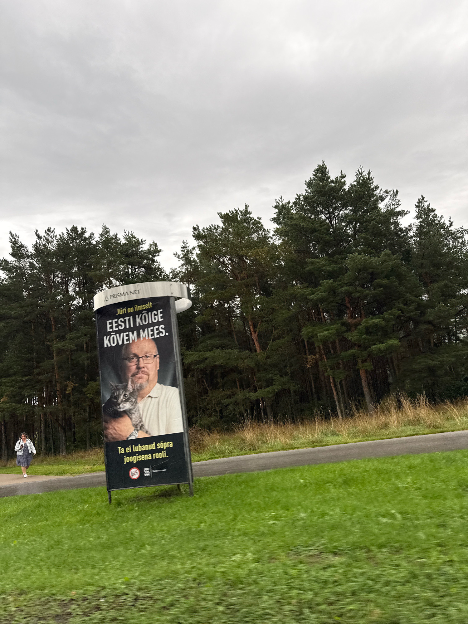 This image, taken on a cloudy day, captures a roadside billboard advertisement in Tallinn, Estonia. The billboard features a man holding a cat, with Estonian text above and below the image. The text at the top reads "Jüri on ilmselt EESTI KÕIGE KÕVEM MEES." (Jüri is apparently ESTONIA'S TOUGHEST MAN). The lower text states "Ta ei lubanud sõpra joogisena rooli." (He did not allow a friend to get behind the wheel while drunk). The billboard is situated in a grassy area with a road and a dense forest of pine trees in the background. A woman in a blue dress and white jacket is walking on the sidewalk to the left of the billboard. The overall scene suggests a public awareness campaign related to drunk driving.
