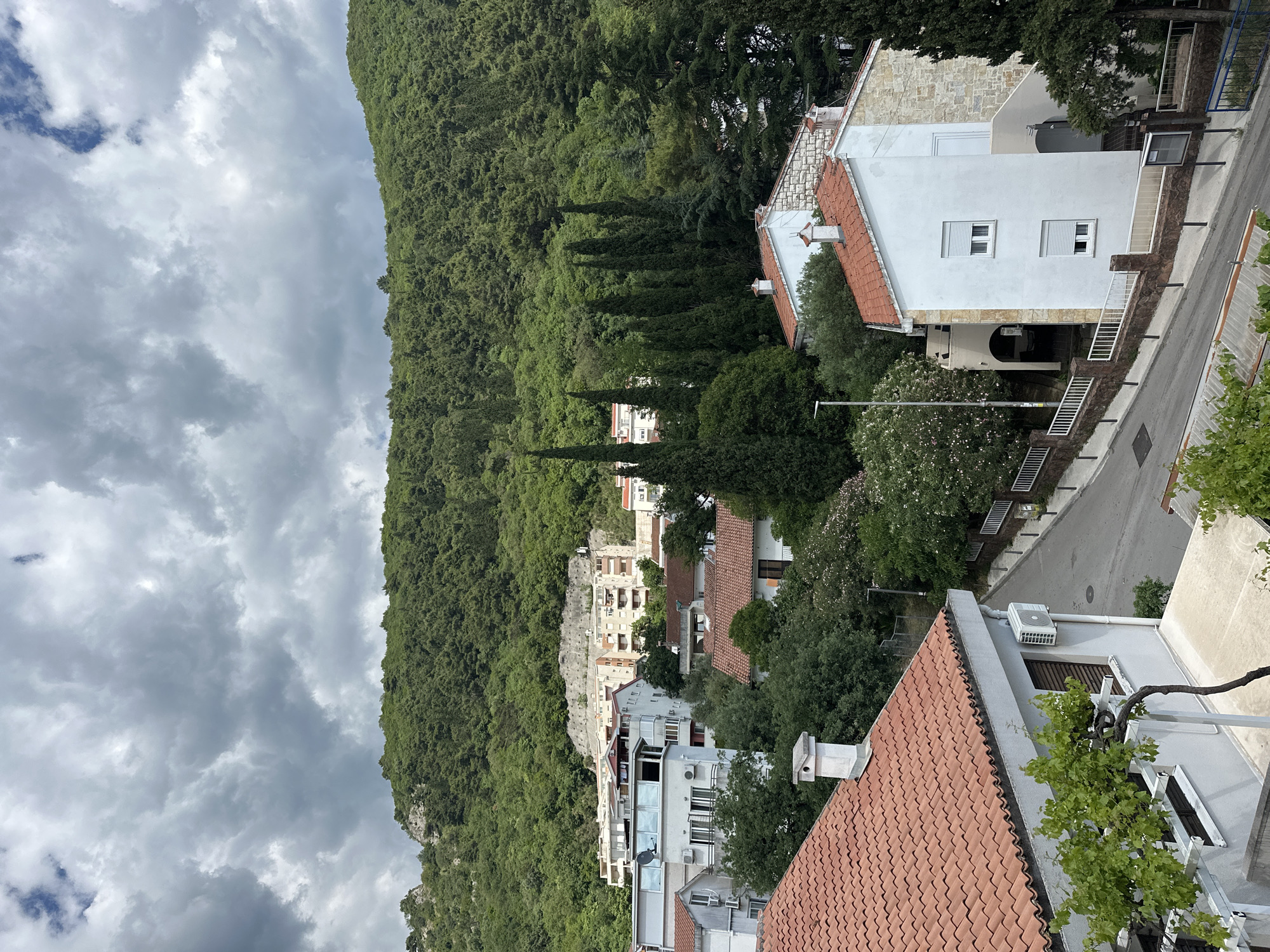 The image depicts a section of Budva, Montenegro, showcasing a mix of residential buildings set against a backdrop of a forested mountain slope under a cloudy sky. The architecture features white or light-colored buildings, many with red-tiled roofs. A few buildings are of stone construction. A road is visible, winding its way alongside some of the structures. The dense forest on the mountain forms a prominent green presence. Tall, thin cypress trees accent the landscape. The cloudy sky casts a diffuse light.