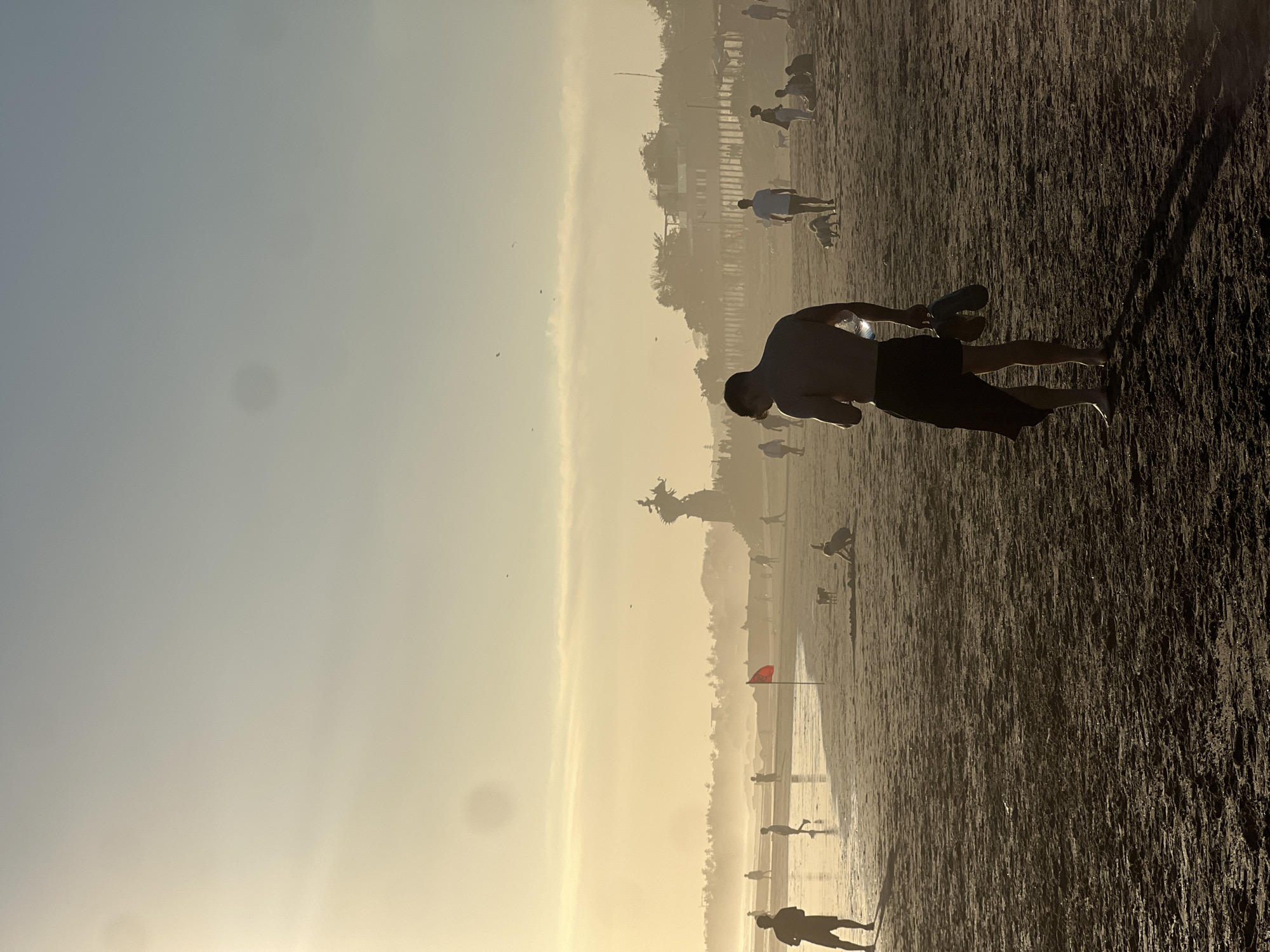 This is a silhouette photograph of a beach scene in North Kuta, Indonesia, likely at sunset or sunrise due to the warm, diffused lighting and soft haze. The foreground is dominated by dark, wet sand. A person, silhouetted and facing away from the camera, walks towards the right side of the frame. They are shirtless, wearing dark shorts, and holding a pair of flip-flops in their right hand. Their shadow stretches long across the sand.
In the midground, the wet sand reflects the sky. Several other figures are visible, some walking along the shoreline and others interacting on the beach. A red flag stands planted in the sand. Further in the distance, a large monument or statue, appearing to be a dragon or mythical creature atop a pedestal, is silhouetted against the hazy sky. Beyond the monument, a line of trees and buildings forms the horizon. The sky itself is a gradient of pale yellow and blue, with wispy clouds and several small, dark birds in flight. The overall atmosphere is serene and captures a moment of leisure on a popular beach.