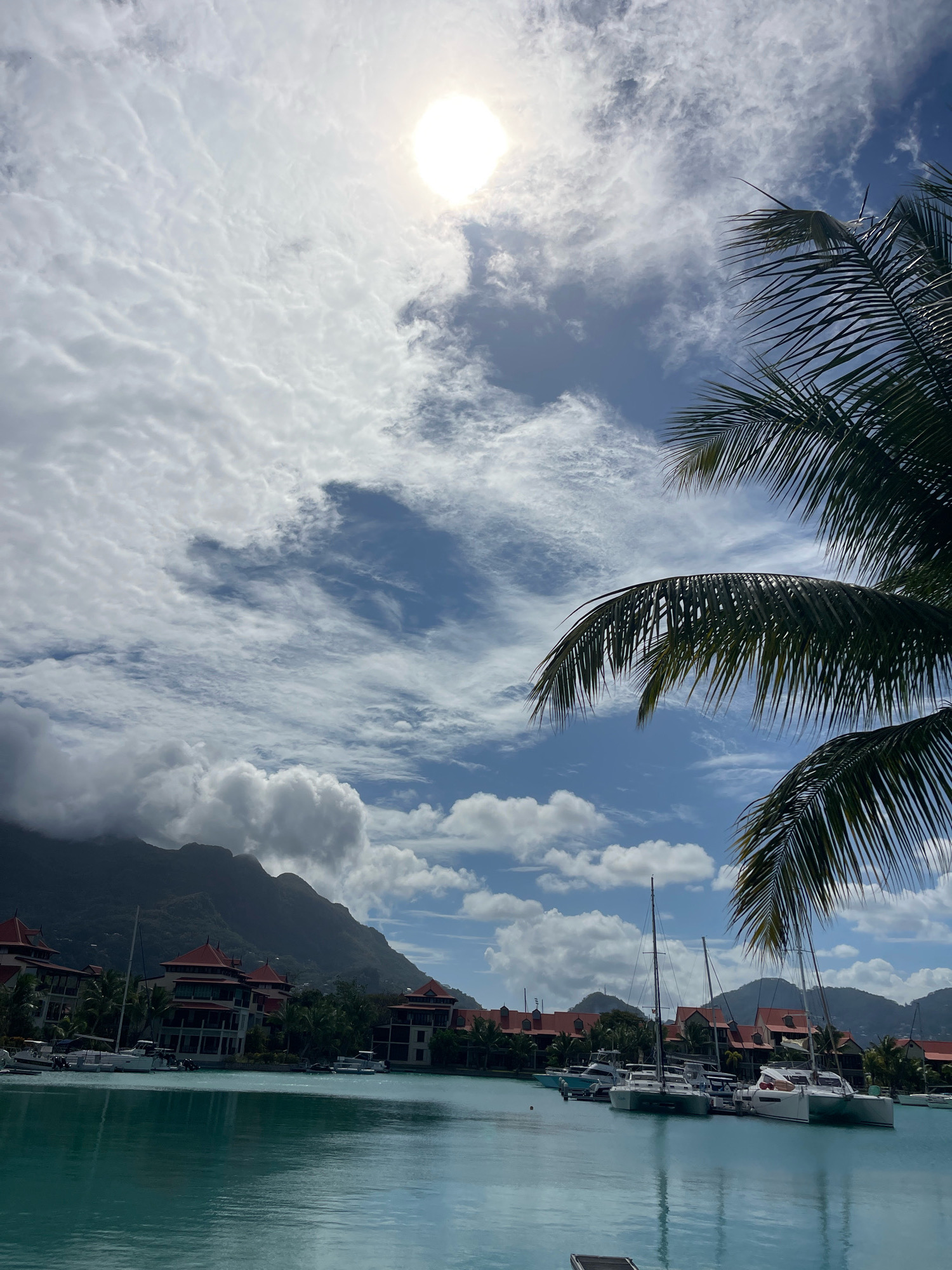 This is a photograph of a harbor in Providence, Seychelles. The water is a clear turquoise color, and several sailboats are docked in the harbor. In the background, there are buildings with red roofs and lush green mountains. Palm fronds are visible in the foreground, framing the scene. The sky is blue with scattered white clouds, and the sun is shining brightly. There are no people visible in the image.