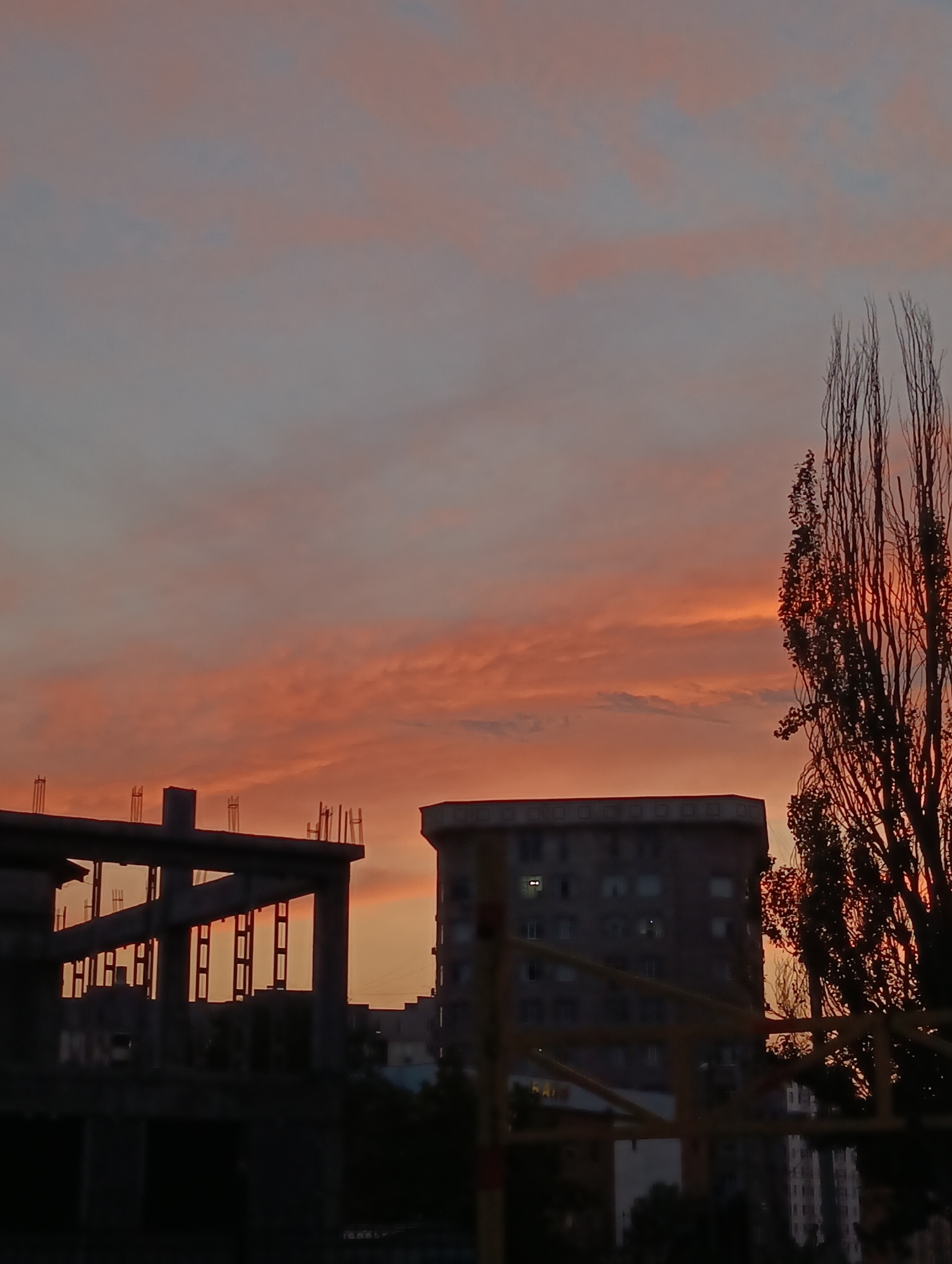 An outdoor, low-angle, medium shot captures a silhouette of a city at dusk. The sky is awash with the warm hues of a sunset, transitioning from a pale orange and pink near the horizon to a soft lavender and grey at the top. Wispy clouds stretch across the sky, catching the last rays of the sun.
In the foreground, on the left, is the skeletal structure of a building under construction, its concrete beams and rebar exposed. To the right of the construction site, a tall, slender tree with sparse, bare branches stands silhouetted against the colorful sky. Further into the background, on the right, a dark, multi-story apartment building is visible, its windows dimly lit. The lower portion of the image reveals more dark structures, possibly part of the cityscape or more buildings, rendered in shadow.