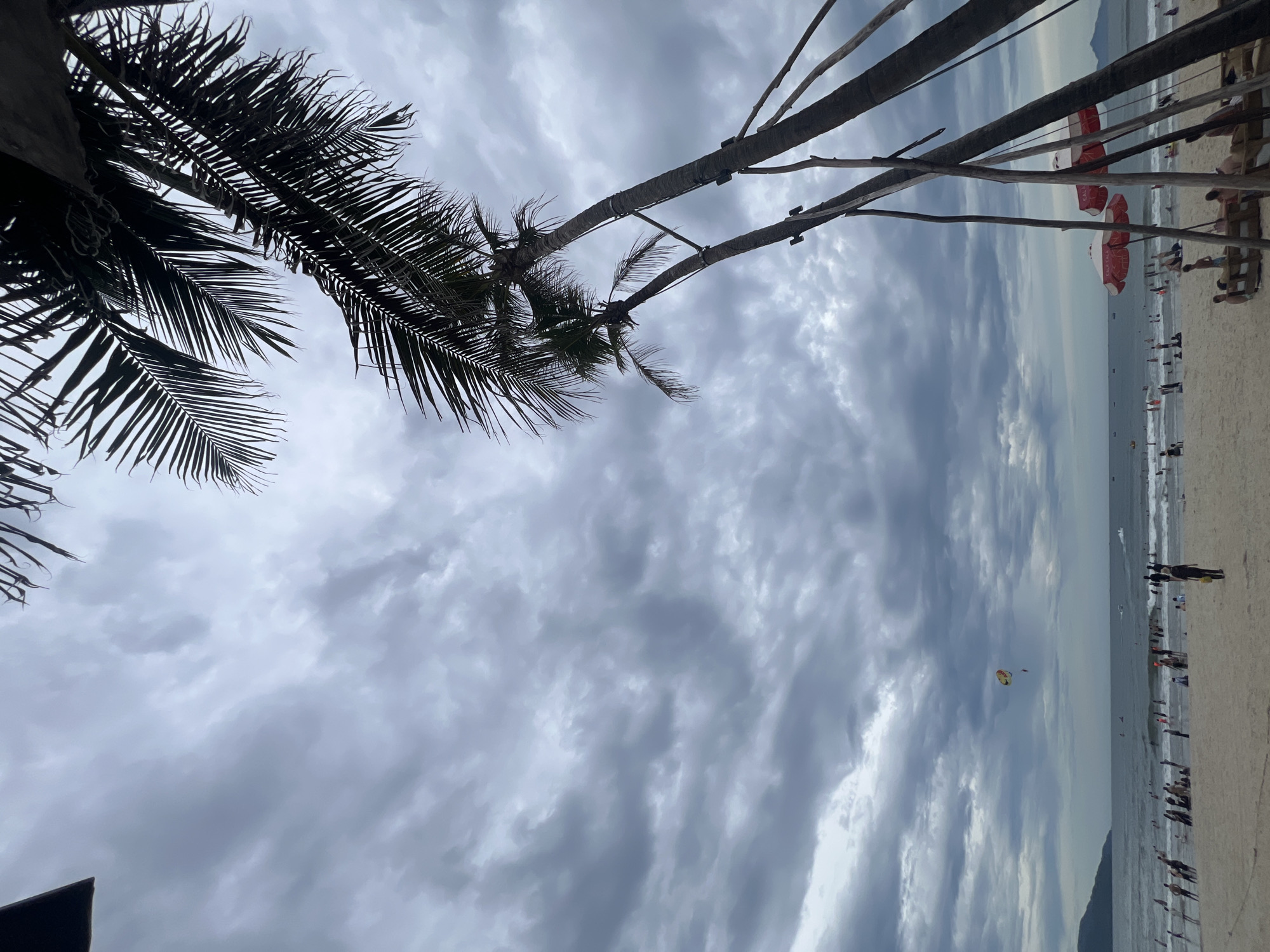 A wide shot captures a cloudy day at a beach, likely My Khe Beach in Da Nang, Vietnam, given the context of palm trees and parasailing. The foreground is dominated by the dark, silhouetted fronds and trunks of several palm trees leaning into the frame from the right and top. The sand beach stretches across the lower portion of the image, populated by numerous people. Some are standing, others are walking, and a few are seated. Two red and white umbrellas are visible on the beach.
The ocean is a significant element, with visible waves and a line of people wading or swimming near the shore. Further out, several boats are scattered across the water, and a bright yellow and red parasailer is visible in the sky over the sea. The horizon is marked by a distant mountainous silhouette on the left. The sky is filled with heavy, dark grey clouds, creating a dramatic and overcast atmosphere. The overall impression is a bustling beach scene under a stormy sky.