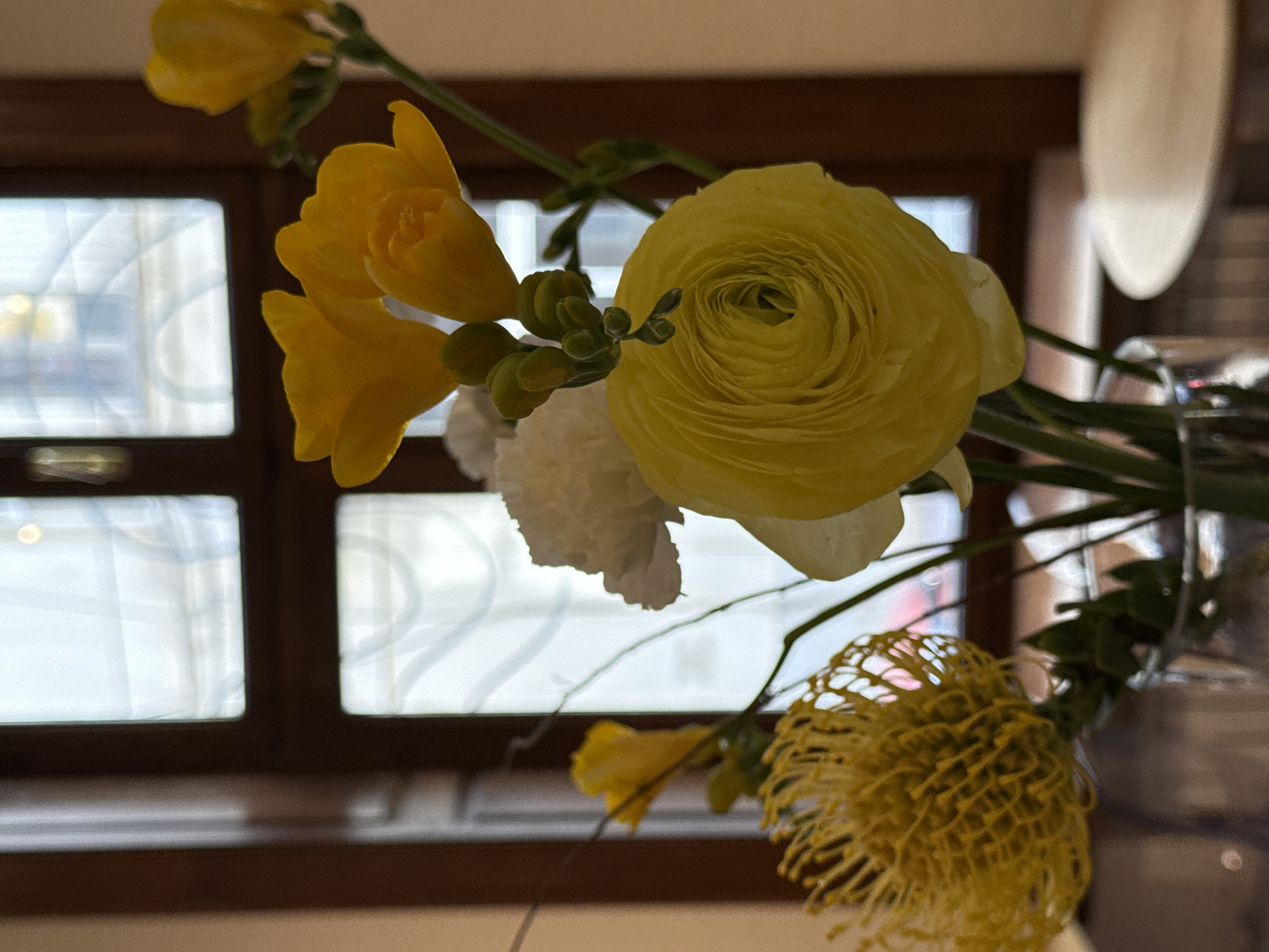 A close-up, eye-level shot captures a vibrant bouquet of yellow and white flowers arranged in a clear glass vase, set against a blurred background featuring a window. The primary subjects are various yellow flowers: multiple freesia blooms and unopened buds with smooth, delicate petals, and a large, intricately layered ranunculus that dominates the upper-center of the frame. In the lower right, a distinctive yellow flower with a spiky, lattice-like structure, possibly a dried or exotic variety like a Banksia or Protea, adds unique texture. A few soft white flowers, resembling carnations or similar, are nestled among the yellow blooms.
The background consists of a dark brown wooden window frame with multiple panes, through which bright, diffused daylight is visible. The outdoor scene beyond the window is heavily blurred, suggesting an indoor setting looking out. Reflections or patterns on the window glass create subtle lines and distortions. Above the window, a dark brown wall or beam is visible. A clear glass vase holding the flowers is partially seen on the right side of the image. The lighting is soft and natural, coming from the window, highlighting the fresh appearance of the flowers. There is no discernible activity taking place, as it is a still life. No text is visible in the image. The scene conveys a sense of quiet beauty and freshness, likely captured during the daytime in an interior space in Belgrade, Serbia.