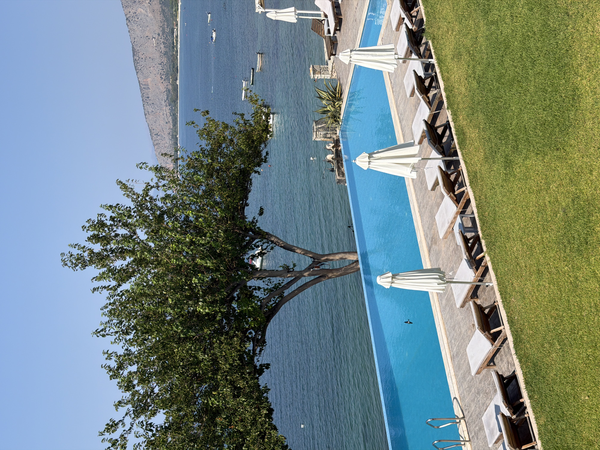 The image depicts a scenic view of an infinity pool overlooking the sea in the Municipal Unit of Alyzia, Greece. The pool is a vibrant blue and is lined with several lounge chairs, some of which are occupied by white umbrellas. A large tree with lush green foliage is positioned to the left of the pool, its branches extending over the water. In the background, the tranquil blue sea stretches out to the horizon, dotted with a few small boats. Across the water, a rugged, mountainous coastline is visible under a clear blue sky. The foreground is a well-maintained green lawn. The overall atmosphere is one of relaxation and natural beauty.