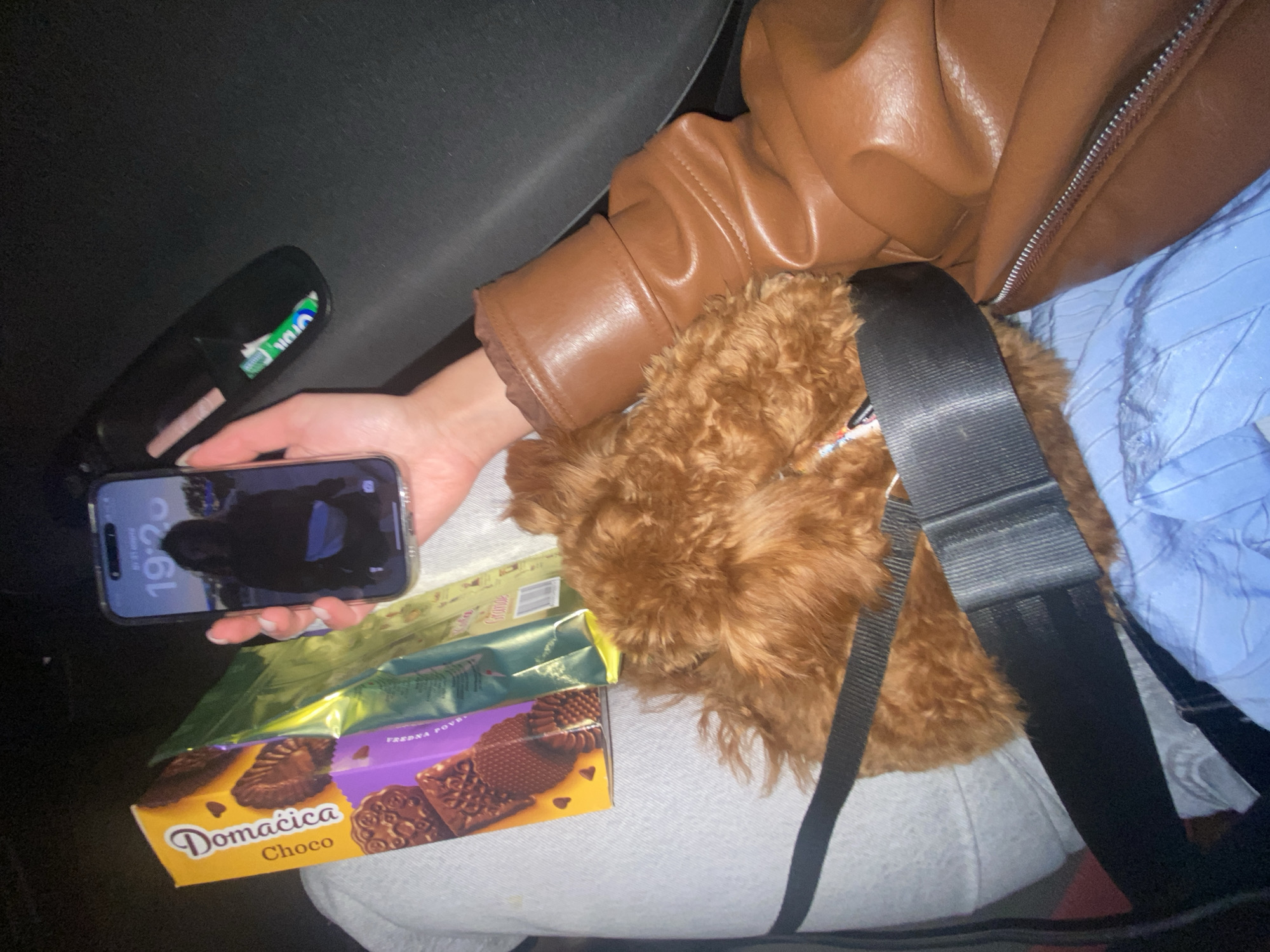 The image shows a person sitting in a car, holding an iPhone displaying the time as 19:25. In the same hand, the person holds a box of "Domaćica Choco" biscuits and a green and yellow package. A brown leather jacket is visible, along with a furry brown bag with a black strap. The person is wearing light grey clothing. The location, Golubovići, Montenegro, cannot be determined from the image.