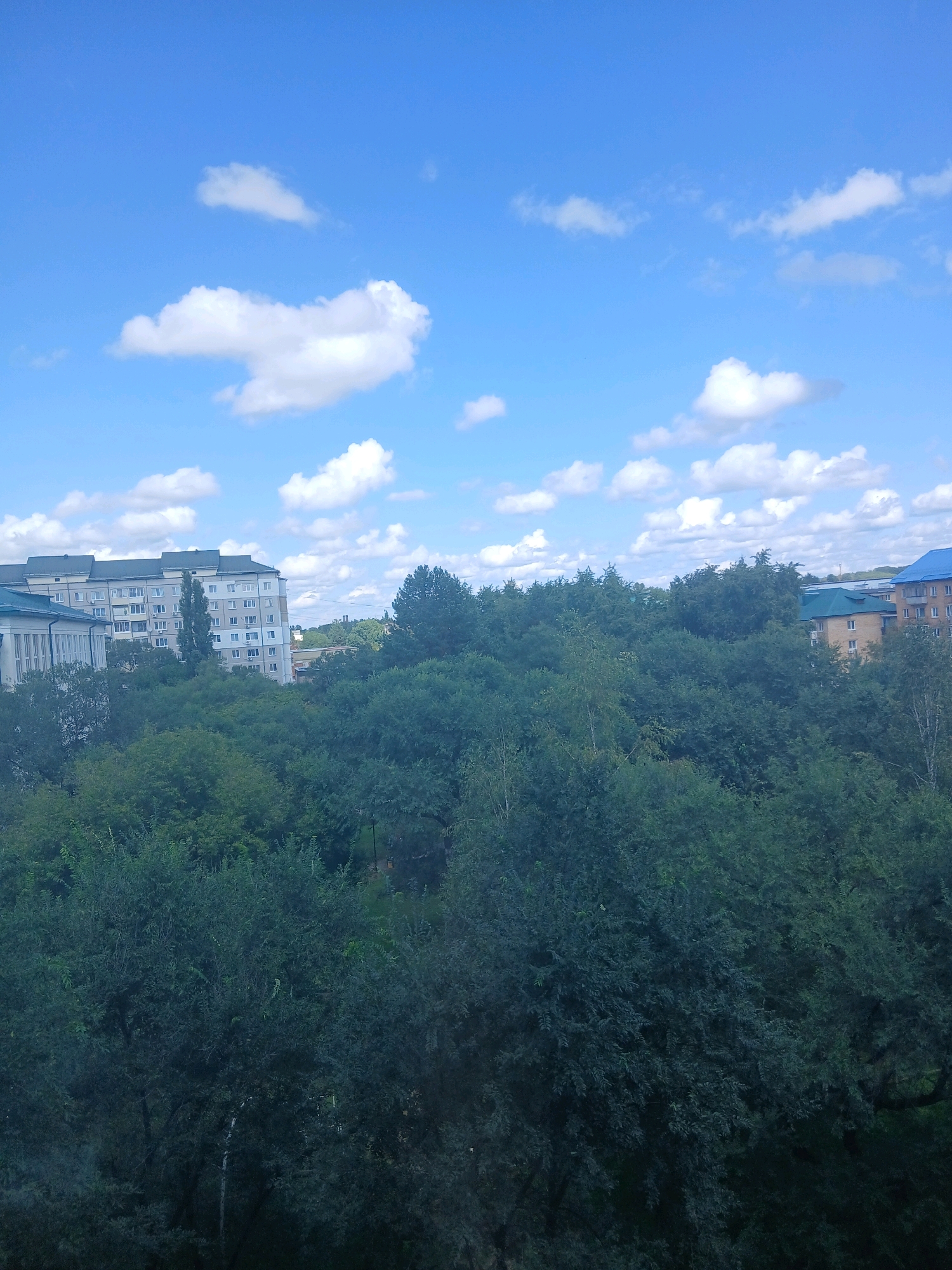 The image depicts an outdoor scene with a clear blue sky featuring scattered white clouds. In the middle ground, dense green trees form a thick canopy, obscuring much of the ground. Peeking through the trees are buildings. To the left, a light-colored, multi-story apartment building with many windows is visible, partially covered by a darker structure to its immediate left. To the right, a light brown building with a blue roof is partially seen. The overall impression is one of a partially urbanized area with significant vegetation. The scene is likely taken from an elevated position, looking out over the trees towards the buildings.