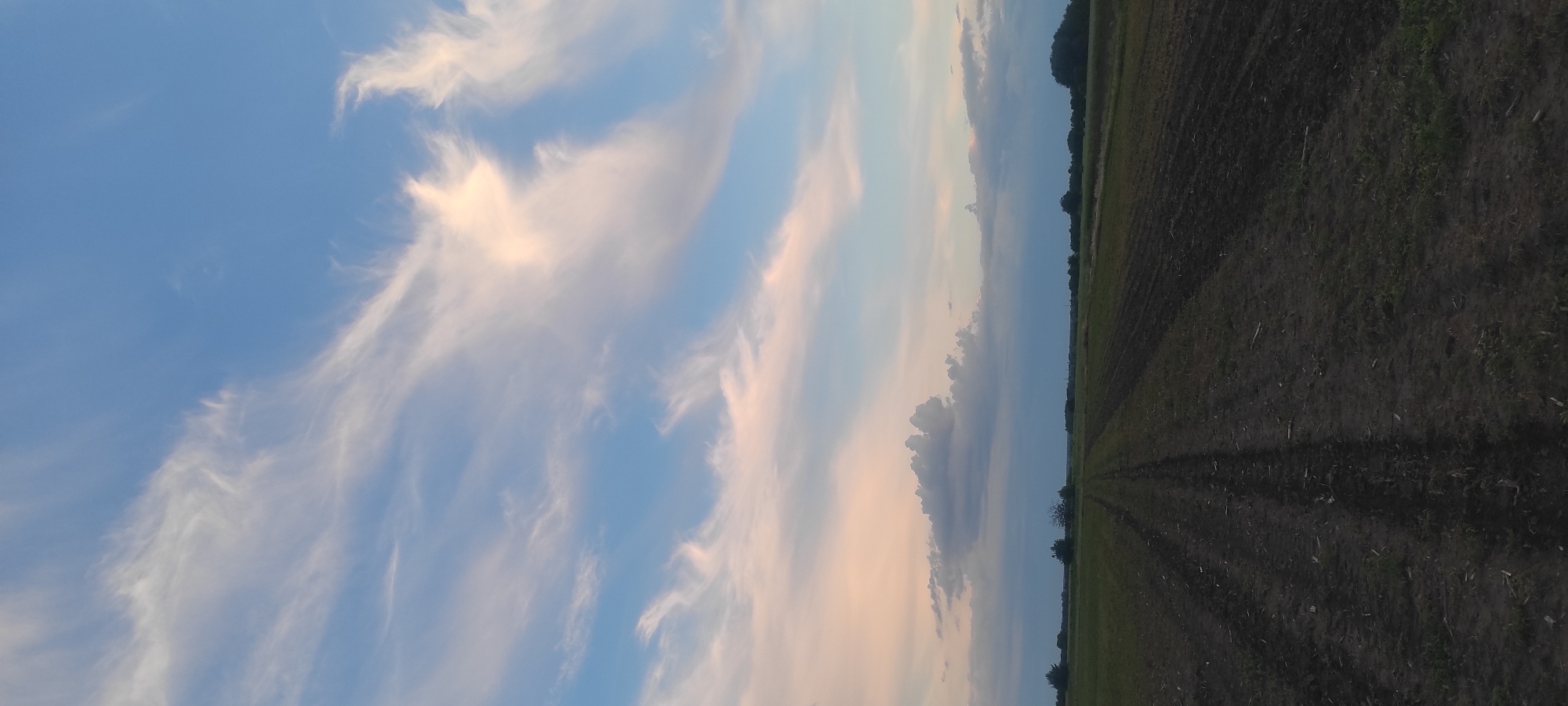 The image depicts a rural landscape under a partly cloudy sky at dusk. The foreground is a dark, plowed field with visible tire tracks. In the mid-ground, a flat expanse of fields stretches to the horizon, dotted with scattered trees and distant structures. The sky is a gradient of blue, with wispy white and pinkish clouds illuminated by the setting sun. There are no people or animals visible in the scene. The location is identified as being near the village of Kobeliachok in Ukraine.