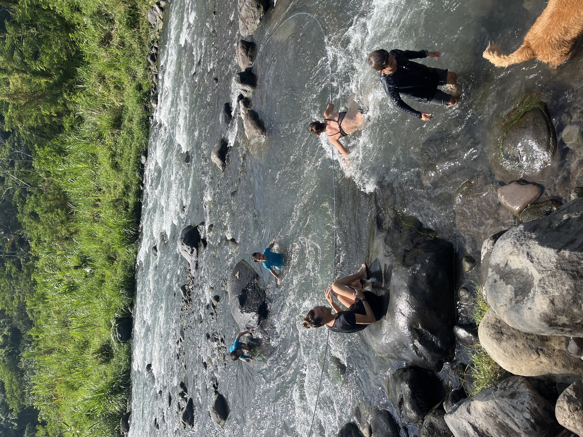 In Klungkung, Indonesia, a group of individuals, including at least two children and two adults, are enjoying a sunny day in a flowing river. One child, wearing a blue shirt, is in the middle of the river, while another, also in a blue shirt, is further back, closer to the bank. An adult in a black shirt is sitting on a large rock on the left side of the river, looking at their phone. Another adult, wearing a black bikini, is in the water, partially submerged, with their back to the camera. A young person in a black long-sleeved rash guard and shorts is standing in the river on the right side. A golden-colored dog is also present in the water near the right edge of the frame. The river is rocky with clear, moving water. Lush green vegetation and trees line the bank in the background, indicating a natural, possibly rural, setting within Klungkung. The sunlight is bright, casting reflections on the water and highlighting the rocky terrain.