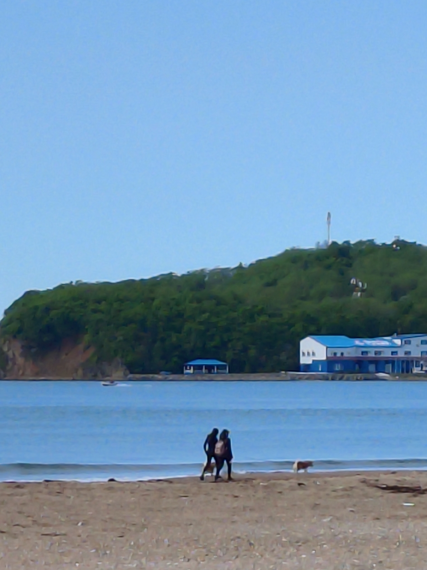 Two people are walking on a beach with a dog. In the background there is water, a building with a blue roof and a hill covered with green trees. It is in the city of Unknown, Unknown.