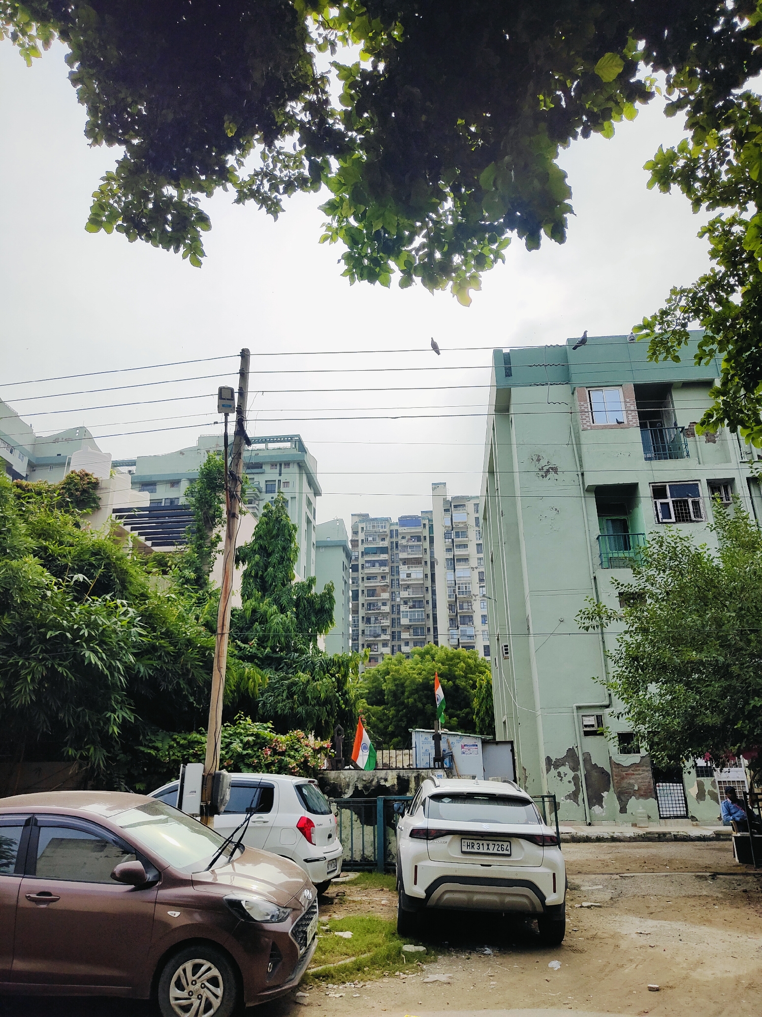 The image depicts a residential street scene in Gurgaon, India, likely on an overcast day. In the foreground, a brown hatchback car is parked on the left, partially obscuring a white SUV parked behind it. The white SUV has a license plate that reads "HR 31 X 7264". A wooden utility pole with electrical wires and a street lamp stands between the cars and the buildings.
Behind the cars, several multi-story residential buildings are visible. The closest building on the right is painted a pale green color and shows signs of peeling paint. It has several windows and balconies, some with metal grills. Further in the background, a cluster of taller apartment buildings with balconies and windows dominate the skyline. Some of these buildings appear to be under construction or are older structures with visible architectural details.
Green trees and foliage are abundant throughout the scene, with lush green leaves from branches hanging over the top of the image. An Indian flag is visible mounted on a pole to the left of the pale green building, with its tricolor bands clearly discernible. A person can be seen sitting on a bench to the far right of the image, near the pale green building. The ground is a mix of dirt and some patches of grass. Birds are perched on the utility wires and on the roof of the pale green building.