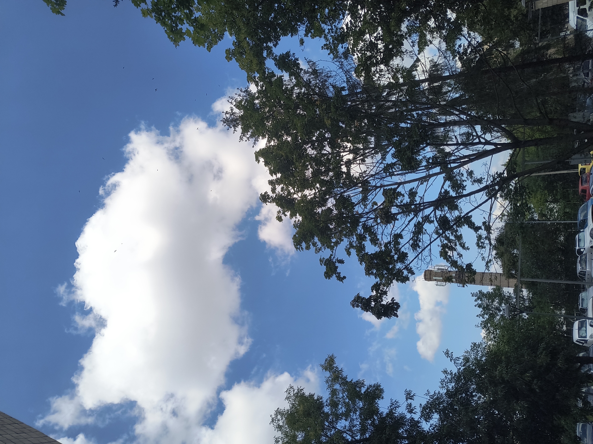 A low-angle, wide shot captures a bright, sunny day in Rivne, Ukraine, with a clear blue sky dotted with fluffy white clouds. In the mid-ground, a tall, weathered industrial chimney stands against the sky, topped with antenna equipment. Lush green trees frame the scene, their branches reaching towards the sky and partially obscuring the view of the city below. A few small, dark birds are visible flying in the sky. In the foreground, the tops of several cars and white vans are parked on a street, suggesting an urban or suburban setting. The overall atmosphere is serene and ordinary, depicting a typical day in the city.