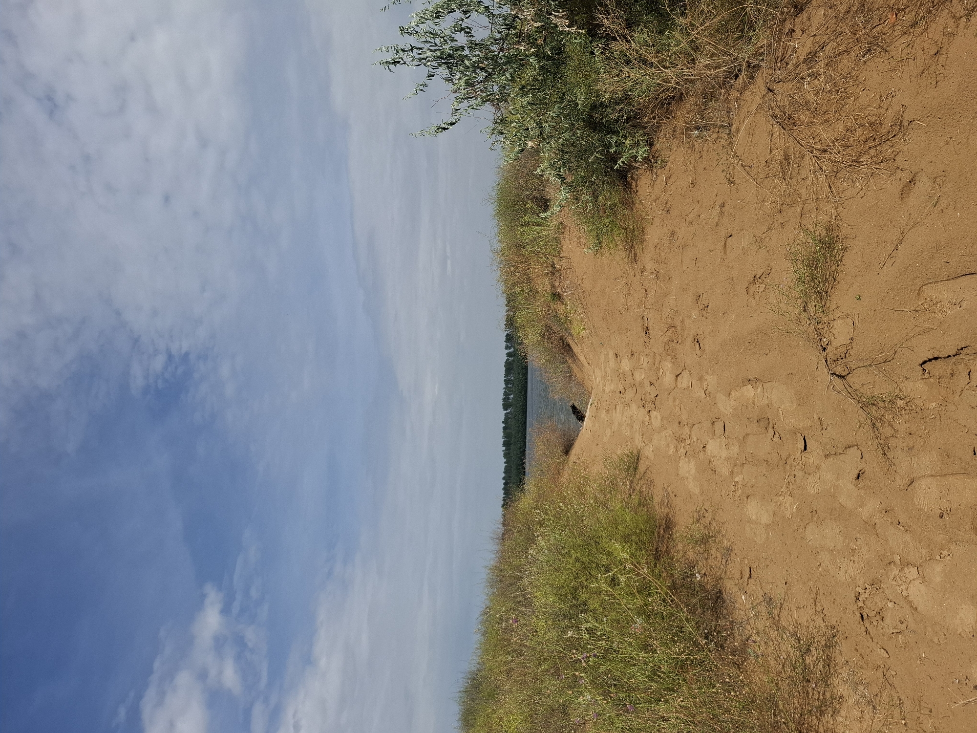 The image shows a sandy path leading down towards a body of water, likely a river or lake, in Zam'yany, Russia. The path is bordered by dry, sparse vegetation on either side, with more dense, green bushes and trees in the distance. The sky is partly cloudy with patches of blue sky visible. The overall scene is one of a natural, undeveloped landscape.