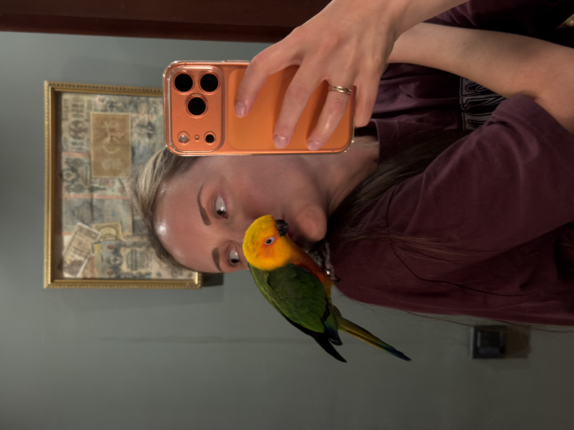 A woman is taking a selfie with a parrot on her shoulder. The woman is holding an orange smartphone with three camera lenses in front of her face. She has blonde hair and is wearing a dark burgundy t-shirt. The parrot is perched on her shoulder, with its head near her cheek. The parrot has a yellow head and neck, green wings, and a blue tail. In the background, there is a framed picture on the wall. The wall is painted a neutral gray color. There is a light switch visible on the wall behind the woman's shoulder. No evidence exists this picture was taken in Khimki, Russia.
