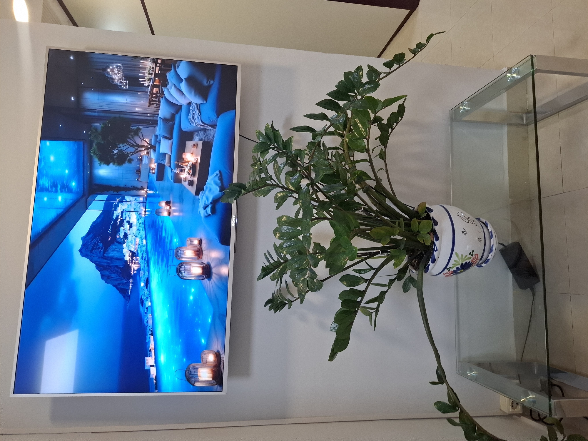 A slightly high-angle, indoor shot shows a white-framed television mounted to a white wall. The TV displays a blue-toned image of a contemporary residential interior overlooking a coastal city at night. To the right of the TV, a plant with lush green foliage sits in a round, white ceramic pot decorated with blue and green floral designs. The pot rests on a two-tiered glass shelf with a chrome frame. A black cable runs from the plant area toward the floor. The environment is a well-lit interior space, likely a residence or office. The location is plausibly Valencia, Spain, based on the depicted coastal city.