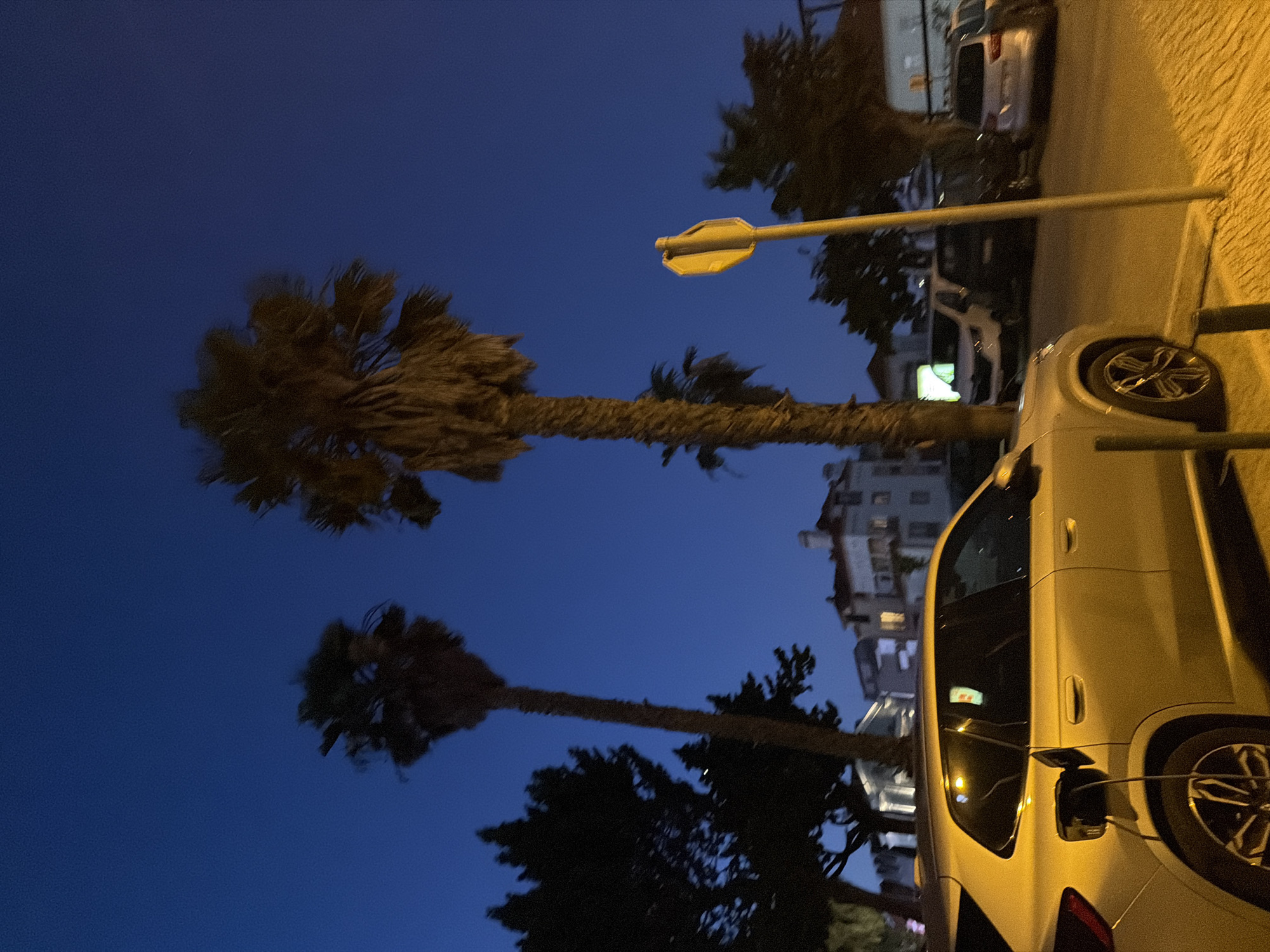 The image depicts a street scene in Cascais, Portugal, at dusk. In the foreground, a silver electric vehicle is plugged into a charging station. The car is illuminated by streetlights, casting a warm glow on its surface. Behind the car, two tall palm trees rise against a deep blue sky. Further in the background, several buildings with lit windows are visible, suggesting a residential or commercial area. Other vehicles are parked along the street, including a white van and a silver car. A yellow traffic sign is mounted on a pole to the right of the frame. The overall impression is a quiet, urban evening in a coastal town.