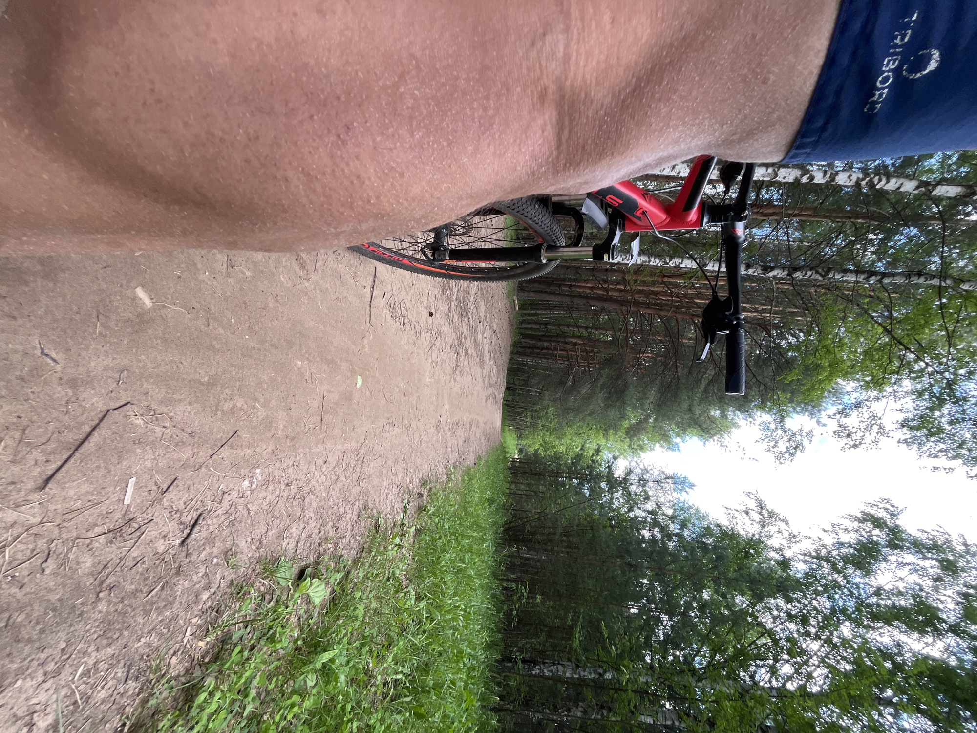 An extreme close-up, low-angle shot depicts a person's leg and a red mountain bike parked on a dirt path through a forest. The person's leg, appearing tanned and slightly bumpy, occupies the left foreground. Above the leg, a navy blue garment with white lettering, possibly a logo, is visible. The bike, with its front wheel, handlebars, and part of the frame, is positioned to the right of the leg, facing forward along the path. The path itself is a light brown dirt trail that curves gently into the distance. Lush green grass and various trees, including birch and pine, flank the path on either side, creating a dense forest environment. The sky is overcast with glimpses of blue. The scene appears to be set in a natural, outdoor area, likely a park or trail within a wooded section of Chaikovsky, Russia, given the commonality of such landscapes in the region.