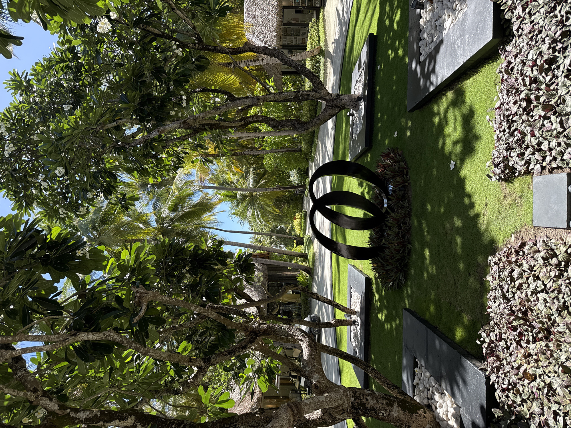 The image depicts an outdoor tropical resort setting, possibly in the Maldives, with lush green grass, palm trees, and tropical vegetation. In the foreground, there is a modern art sculpture composed of two intertwined black rings, placed on a bed of dark red and green foliage. Two trees with gnarled trunks and abundant green leaves, some bearing white flowers, frame the sculpture. Each tree is situated within a square, dark-grey planter filled with white pebbles. Beyond the immediate garden area, a paved pathway is visible, bordered by more meticulously manicured grass. In the midground, thatched-roof buildings with open-air facades are visible, suggesting shops or resort amenities. Golf carts are parked near one of the buildings. The background is filled with a dense canopy of palm trees and other tropical foliage, under a clear blue sky, indicating a sunny day. The scene conveys a sense of luxurious tranquility and tropical ambiance.