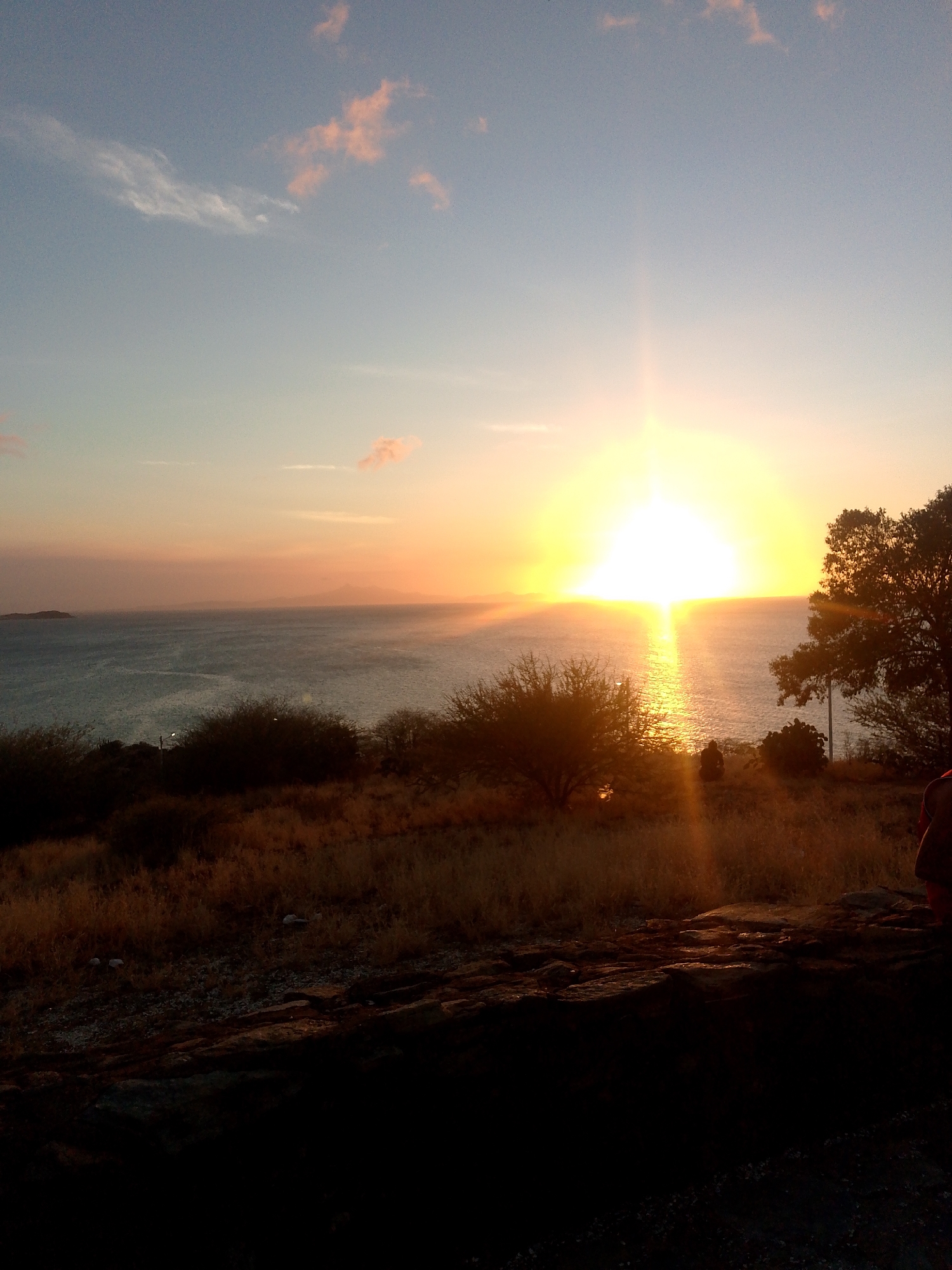 The image displays a coastal sunset viewed from an elevated position in Juan Griego, Venezuela. The setting sun, a brilliant yellow-orange orb, is centered on the horizon, casting a wide, luminous reflection across the dark blue-grey sea. The sky transitions from a pale blue at the zenith, containing sparse white and pink-hued clouds, to a bright orange and yellow directly above the sun.
The foreground consists of dark, uneven ground covered by dry, light brown grasses and several dense, dark green, bushy shrubs. Silhouetted trees are present, including a prominent one on the far right edge of the frame and smaller ones interspersed throughout the mid-ground. A vertical light pole is partially visible behind some bushes to the right of the sun's reflection.
Two individuals are present:
1. One person is partially visible on the far right edge of the image, mostly silhouetted, wearing a reddish-brown garment on the upper torso, facing the sunset.
2. A second individual is seated or crouched in the mid-ground, silhouetted against the bright water, positioned slightly to the right of the sun's reflection, facing west.
In the distant background, a small island or landmass is visible on the far left horizon, with other indistinct landforms along the horizon line.