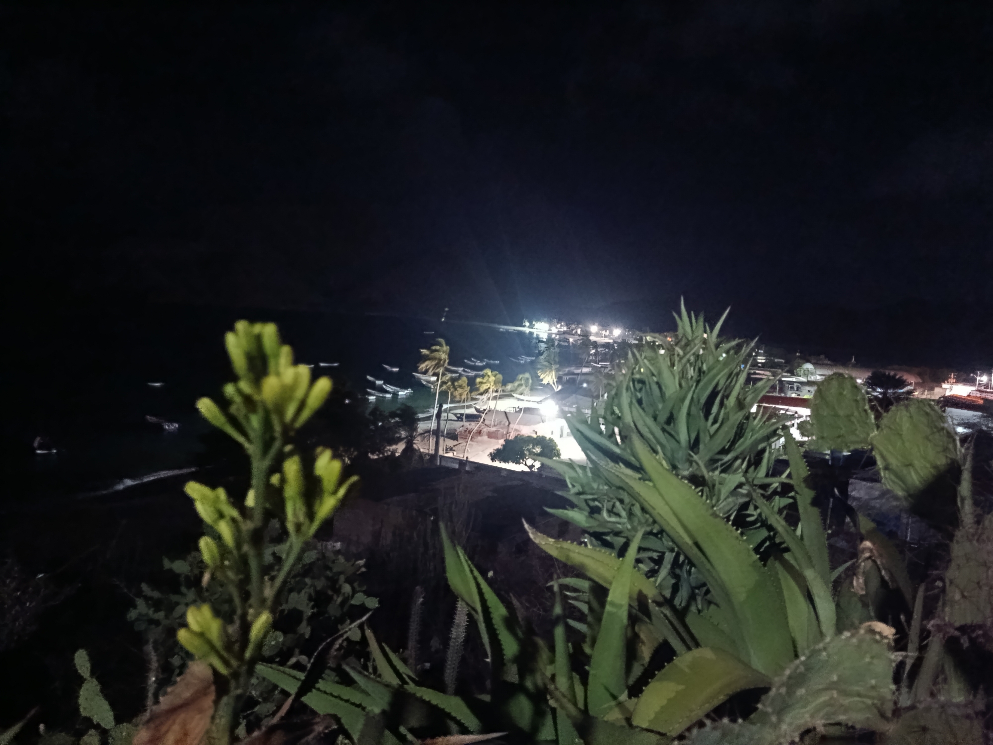 The image shows a night view of Juan Griego, Venezuela, from an elevated position. The dark sky and dim lighting obscure many details. In the foreground, various plants, including succulents and cacti, are visible. Beyond the plants, a dimly lit coastline is apparent, with small boats dotting the water. A beach with palm trees and buildings illuminated by artificial lights can be seen along the shore. The overall scene depicts a quiet, nighttime view of the city's coastal area.