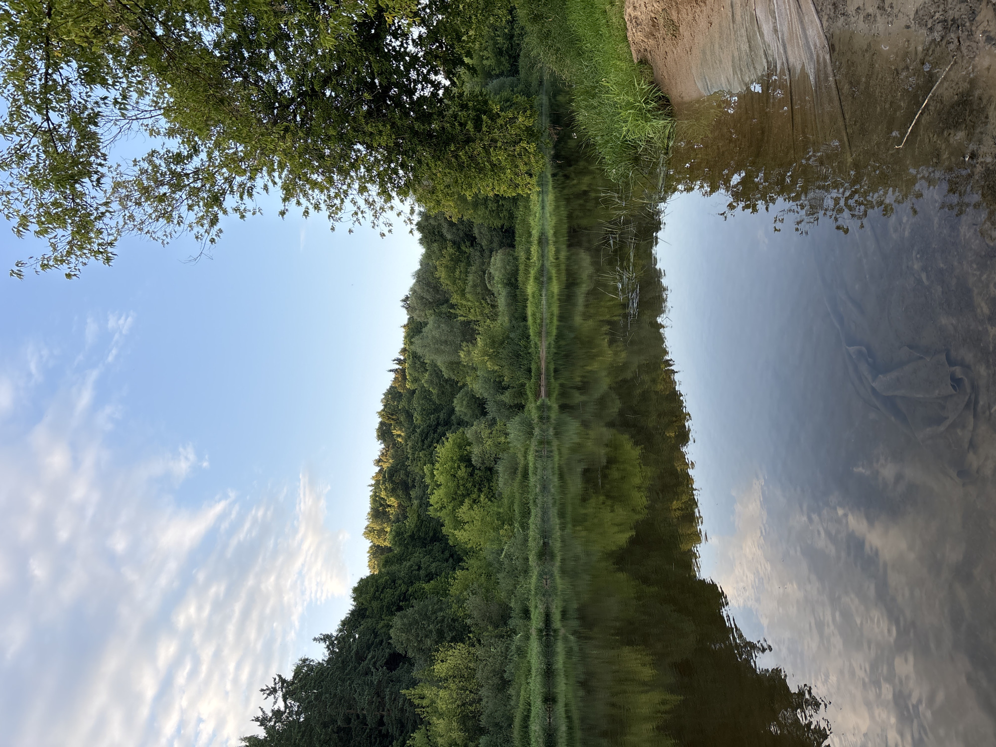 The image depicts a serene natural landscape in Zvenigorod, Russia. A tranquil river occupies the foreground, its surface reflecting the lush greenery of the surrounding forest and the wispy clouds in the bright blue sky. The riverbanks are lined with dense vegetation, transitioning into a rolling hillside covered in trees. On the right side of the frame, a sandy bank meets the water, with some grass and a fallen twig visible. The overall impression is one of peaceful natural beauty under a clear sky. There are no people or animals visible in the image.