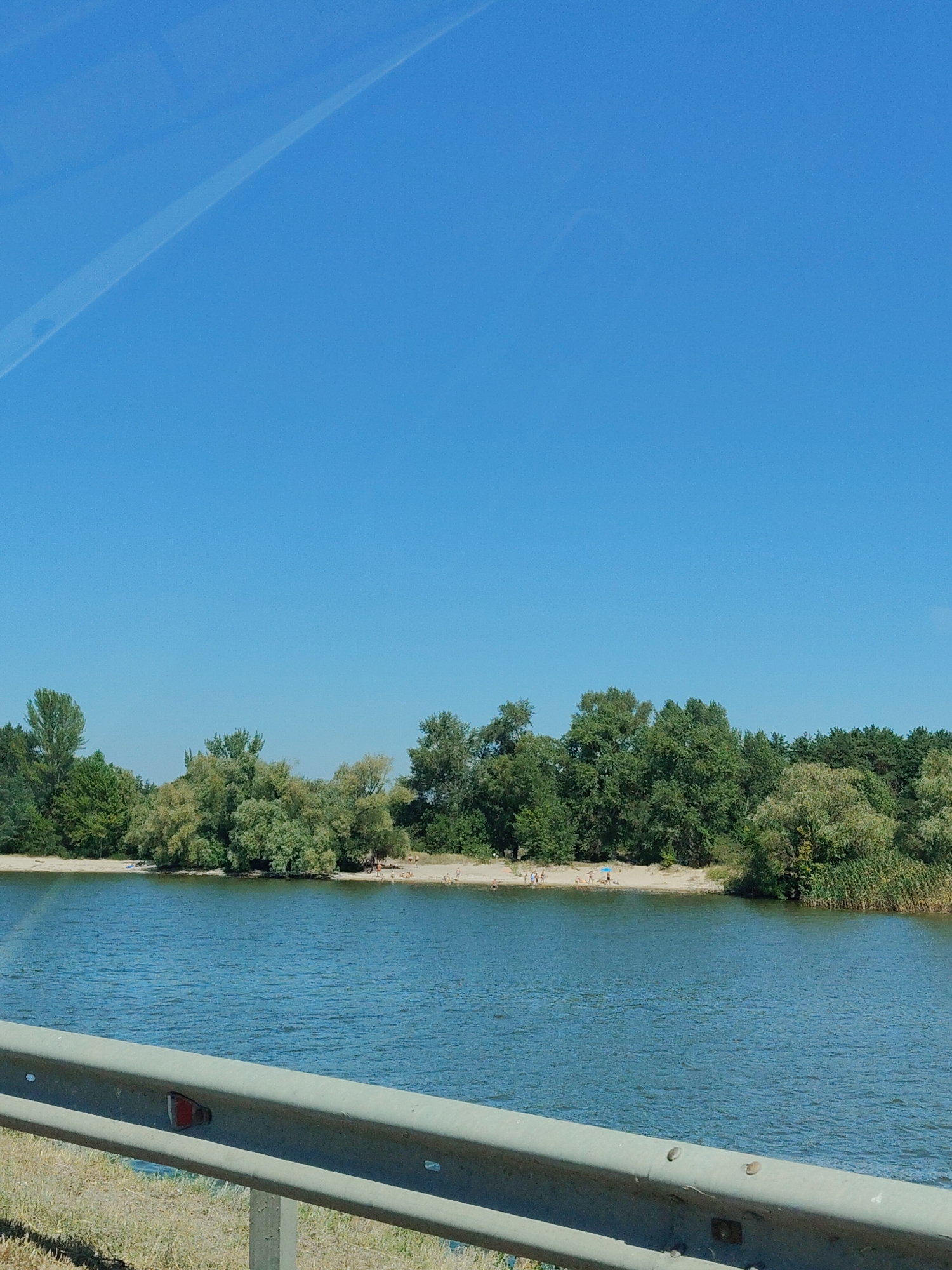 The image depicts a wide river under a clear blue sky. On the far bank, a sandy beach is visible, backed by a dense line of green trees. Several small figures are present on the beach, some appearing to be sunbathing or walking. The water is calm with slight ripples. In the foreground, a grey metal guardrail runs horizontally across the lower portion of the frame, with dry grass and some weeds growing alongside it. The scene appears to be a natural recreational area.
