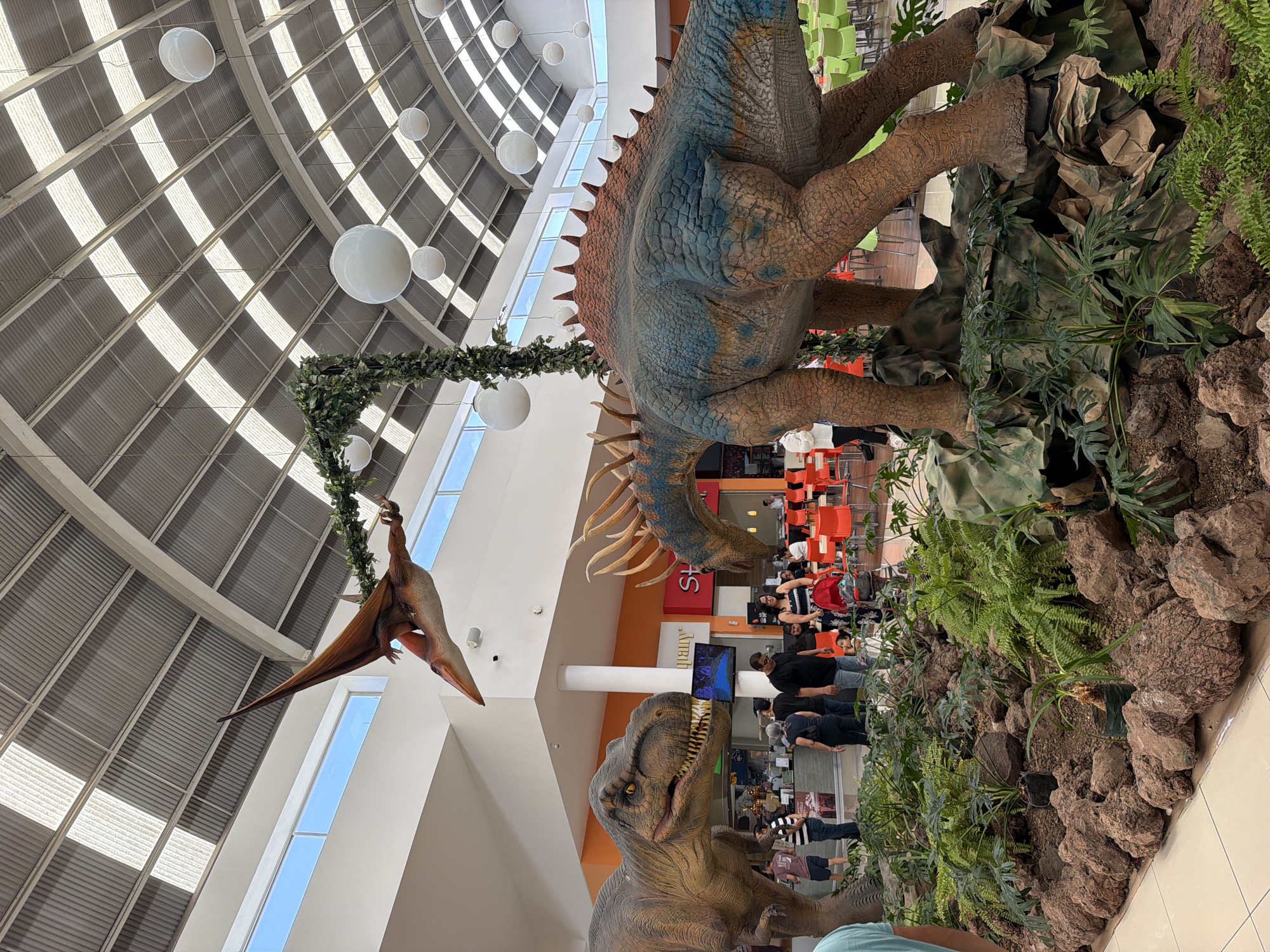 This media file captures an expansive indoor scene, likely a shopping mall or large public concourse, adorned with elaborate dinosaur exhibits in San Francisco Ocotlán (Ocotlán), Mexico. The image is oriented vertically (or 90 degrees clockwise from its natural horizontal perspective).
In the foreground, a large, highly detailed statue resembling a Tyrannosaurus Rex stands on the right side, its head tilted upwards, mouth slightly agape to reveal its teeth. Beside it, to the left and slightly behind, is a massive, quadrupedal dinosaur statue. This dinosaur features a blue-green scaly body with prominent brown-orange plates and spikes running down its back. Its robust legs are textured, blending into a landscaped base of artificial rocks, ferns, and other lush green foliage designed to mimic a prehistoric environment.
Suspended from the high, arched ceiling, a pterodactyl-like flying reptile statue hangs, seemingly in mid-flight, attached by a vine-wrapped structure that also features artificial leaves. The ceiling itself is a striking architectural feature, composed of a lattice of beams with numerous skylights allowing natural daylight to flood the space. Several large, white, spherical light fixtures are also suspended from the ceiling at varying heights.
In the mid-ground and background, a bustling public area is visible, suggesting a food court or common seating zone. There are numerous tables with orange and green chairs, occupied by several people who are sitting, standing, and walking. They appear to be casually observing the dinosaur displays or engaged in conversation. The atmosphere seems relaxed and bright, indicating daytime. Visible architectural elements include white walls, orange pillars, and large windows that offer glimpses of a clear blue sky outside.
Visible text is limited but includes partially obscured letters like "AltruH" on an orange pillar near the T-Rex and what appears to be "S H O P" further in the background. A blue screen on a pillar displays an abstract image. The scene conveys a sense of wonder and entertainment, characteristic of a family-friendly attraction within a modern commercial setting.