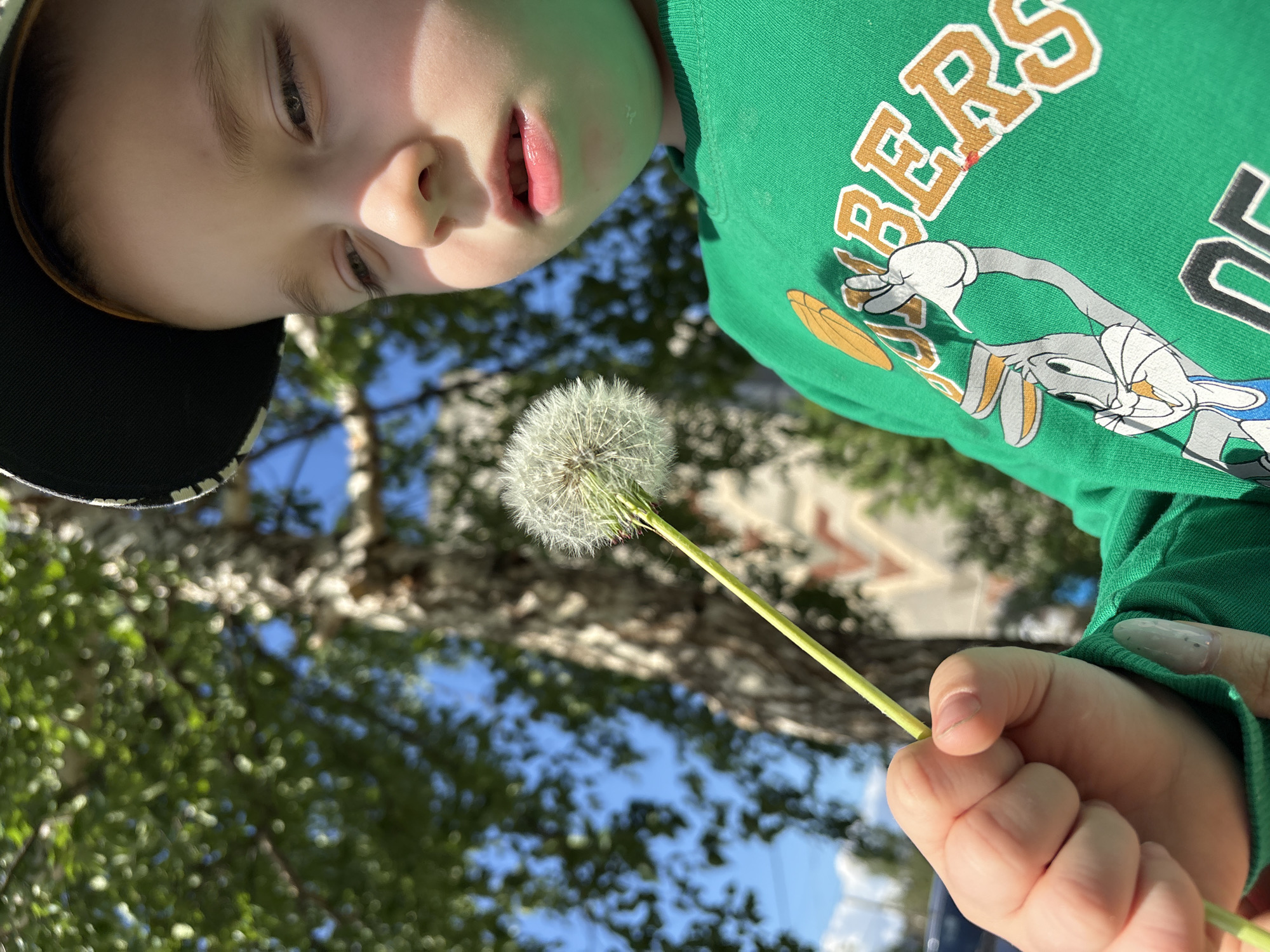 A child is holding a dandelion in an outdoor setting. The child is wearing a green sweatshirt with a Bugs Bunny graphic and a black baseball cap. The dandelion is in focus, while the background shows trees and a blue sky with a hint of architectural features suggesting a building, possibly a low-rise structure. The location is Chaikovsky, Russia.