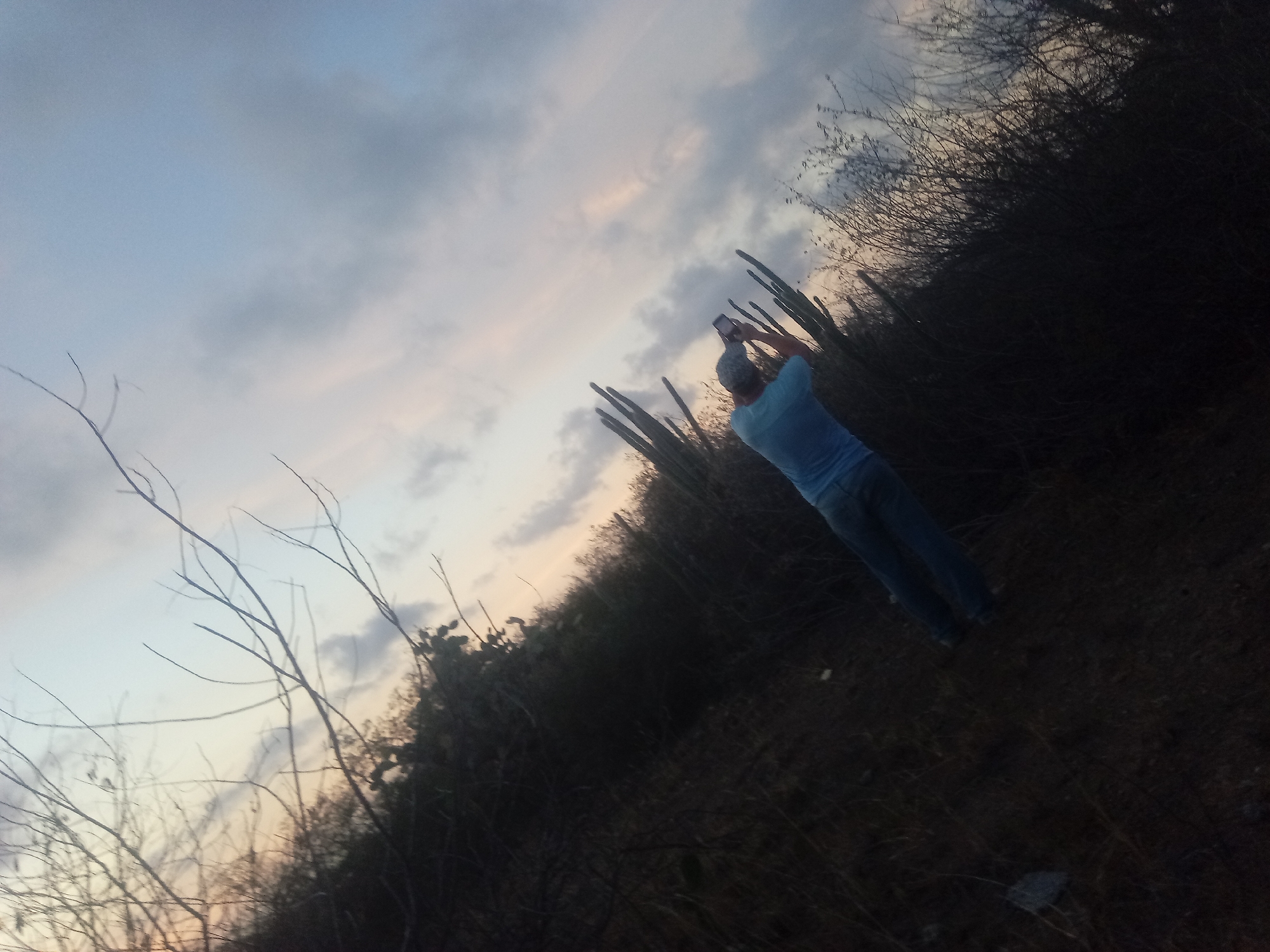 The image shows a person in a light blue t-shirt and jeans taking a photo with a phone in Juan Griego, Venezuela. The person is standing near tall cacti and dense, dark vegetation against a twilight sky with light clouds. Bare tree branches are visible in the lower-left corner of the frame. The scene appears to be at dusk, with limited light illuminating the landscape.