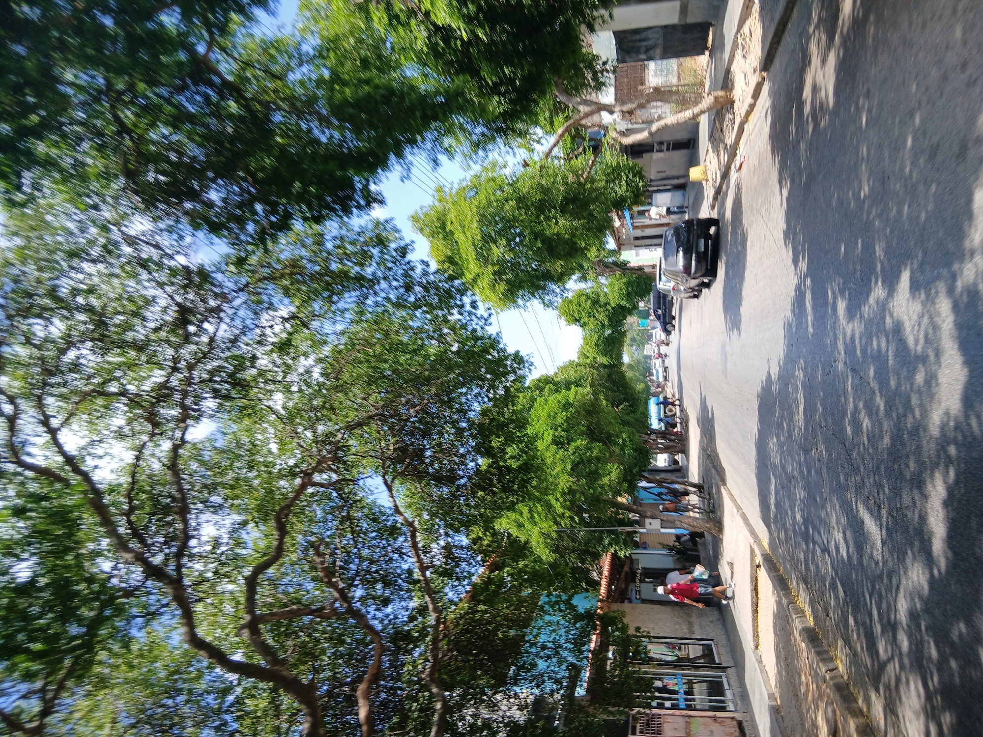 The image shows a street view in Santa Ana, Venezuela. The street is lined with trees, casting shadows on the road. A black car is parked on the right side of the street. People are visible walking on the sidewalk, with one person wearing a red shirt. Buildings are seen on both sides of the street. The sky is visible through the tree canopy.