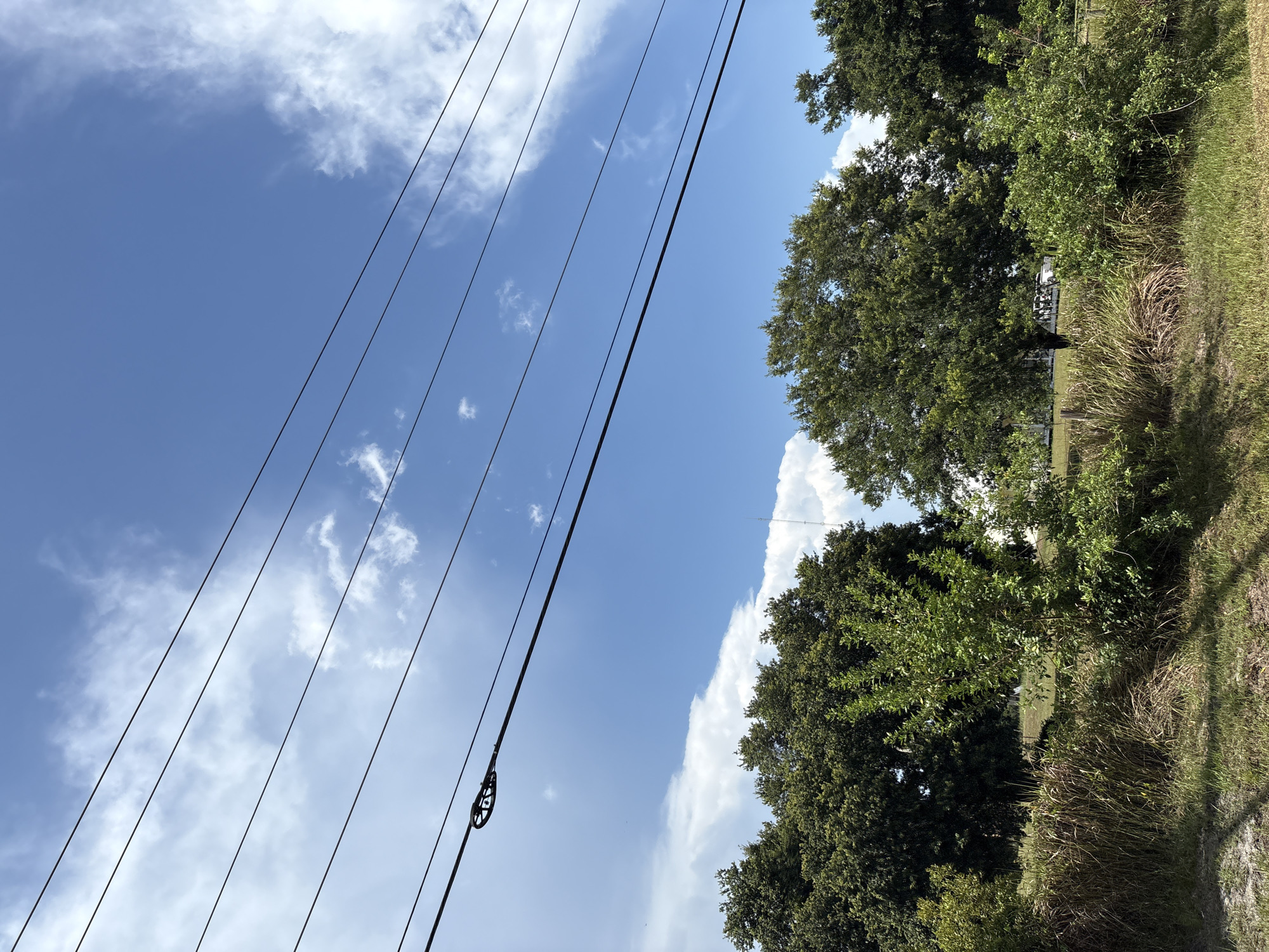 A bright, sunny day with a clear blue sky and scattered white clouds is depicted. Several power lines stretch across the frame, angled from the left towards the right. Below the power lines, a dense line of lush green trees forms the horizon. The foreground consists of dry, tall grass and green vegetation, with a patch of dry dirt and grass at the bottom left. The overall scene suggests an outdoor rural or semi-rural setting, possibly in Parrish, United States, with no people visible.