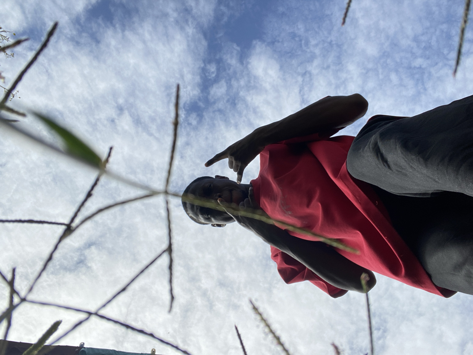 The image depicts a low-angle shot of a young Black male standing outdoors against a bright, cloudy sky. He is wearing a red t-shirt and dark pants. His right arm is raised, and his hand is making a "rock on" gesture with his thumb and pinky extended, while his index, middle, and ring fingers are curled down. His left arm is also raised, with his hand in a similar position, though it is partially obscured by a thin, green, plant stem that runs vertically through the center of the frame. The plant stem appears to be growing from the foreground and extends upwards, creating a natural obstruction. The background consists of a blue sky filled with scattered white clouds, suggesting it is daytime. The overall impression is a candid, dynamic shot, possibly taken in an open, natural area within Bukuru, Nigeria, given the context provided.