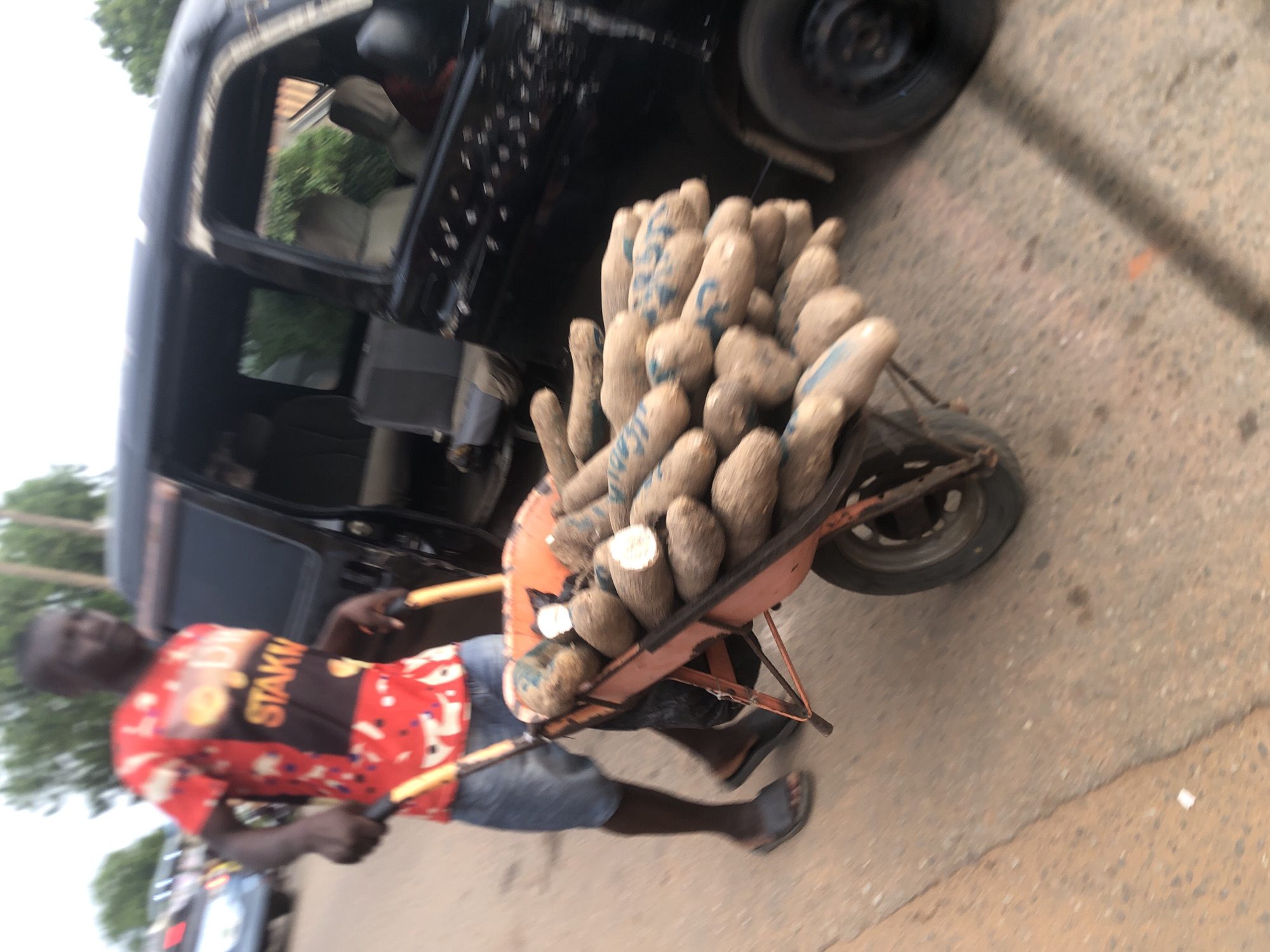 A man in Nsugbe, Nigeria, is pushing a wheelbarrow filled with yams down a paved street. The yams are tan with blue markings. The man is wearing a red and black shirt, denim shorts, and black sandals. A black vehicle is parked to the side of the road.