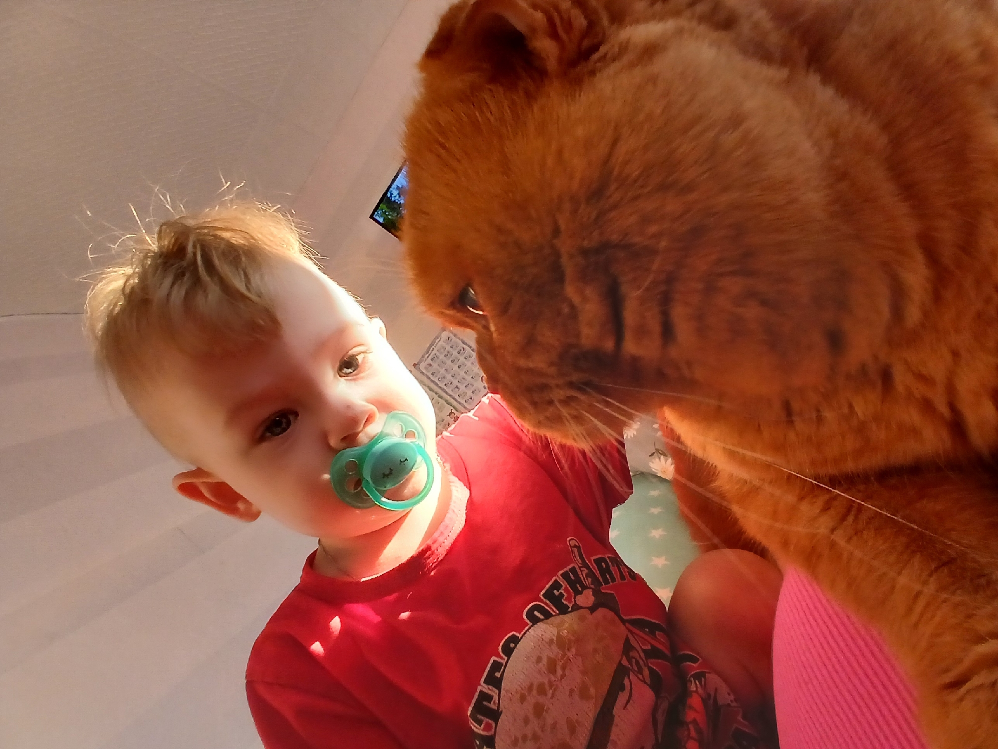 The image depicts an indoor scene in the city of Chaikovsky, Russia, featuring a young child and a domestic cat interacting. The child, an infant or toddler with light skin and light brown hair, is positioned in the upper left of the frame, looking downward. They wear a red short-sleeved shirt with a partially visible graphic print, including text like "STATES OF HARR" and an image resembling a cartoon figure or burger. A teal/turquoise pacifier is inserted in the child's mouth. Directly below and to the right of the child is a large ginger-colored cat, oriented towards the child and looking upwards. The cat's whiskers are prominent. The perspective is low-angle, looking up at both subjects. In the background, a light-colored ceiling or wall with faint horizontal lines is visible. The upper right corner reveals a portion of a dark-framed screen, possibly a television or monitor, displaying green and blue colors. A light-colored patterned object is also partially visible behind the child's head to the left of the screen. A light blue pillow with white star patterns is visible behind the cat and child's arm, and a ribbed pink fabric surface is in the lower left foreground.