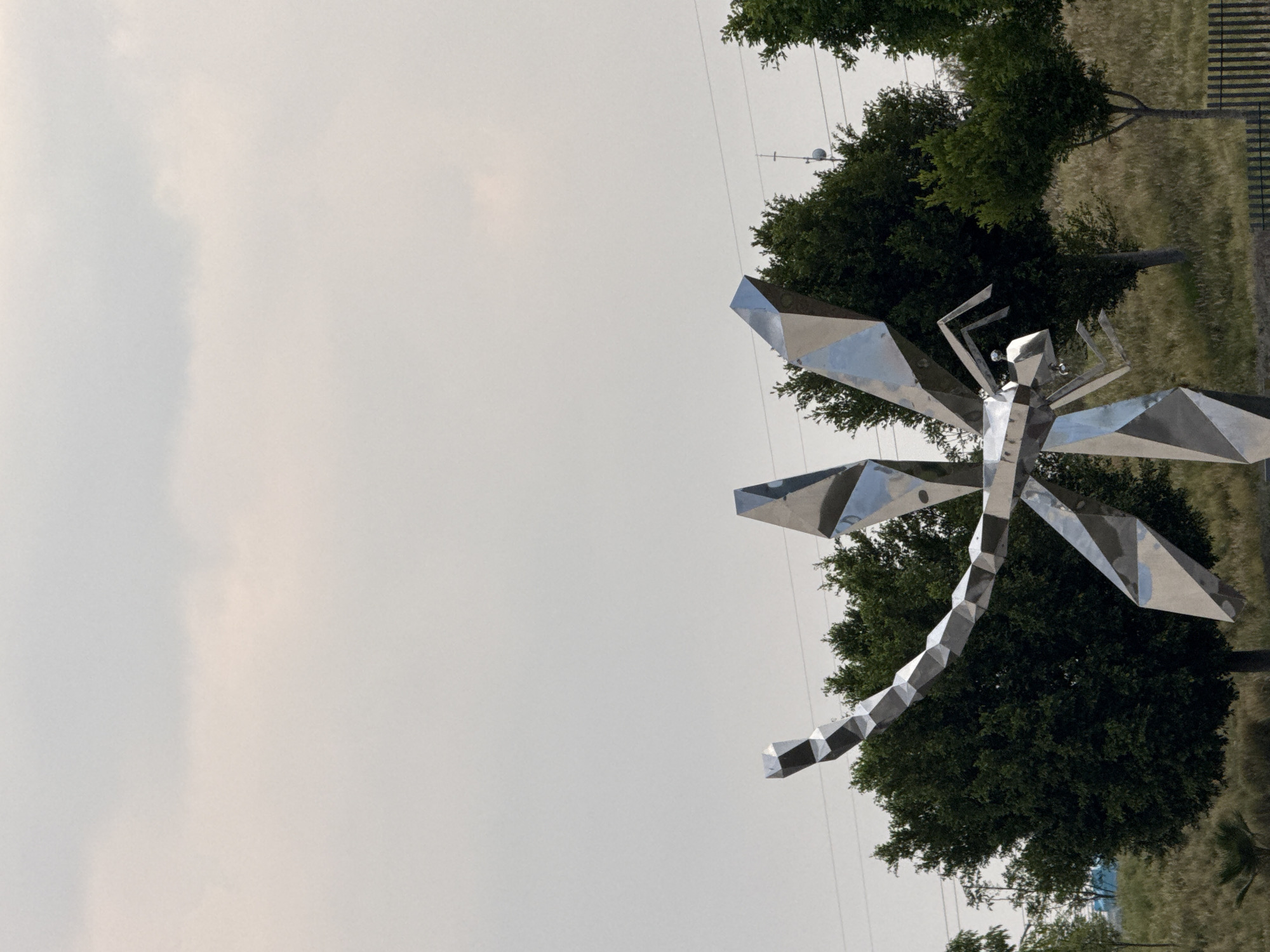 The photograph shows a large, metallic dragonfly sculpture set against a backdrop of trees, grassy fields, power lines, and a hazy sky. The sculpture appears to be made of several geometric shapes that reflect the surrounding light. The location is likely San Bernardino Tlaxcalancingo, Mexico, though the image doesn't contain elements to verify this information.