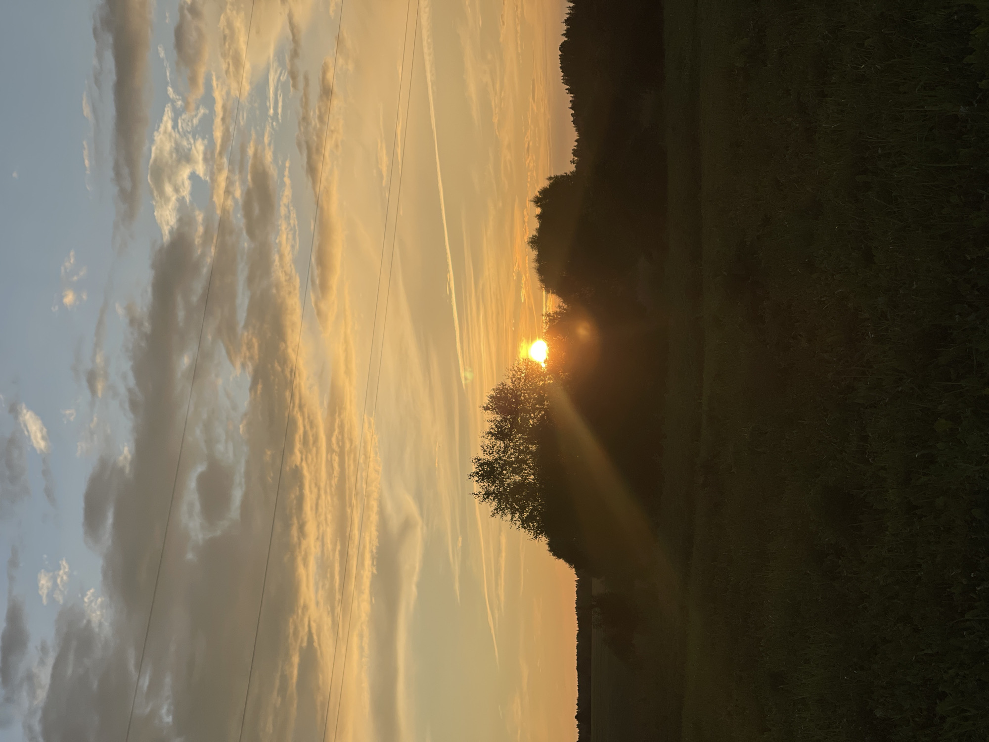 A sunset is captured over a field in Perevoznoe, Russia. The sun, a bright orb, is partially obscured by a cluster of trees, casting long rays of light across the scene. The sky is a blend of orange, yellow, and blue, with scattered clouds and contrails. In the foreground, a dark field of grass stretches towards a line of trees on the horizon. Power lines are visible across the top of the image.