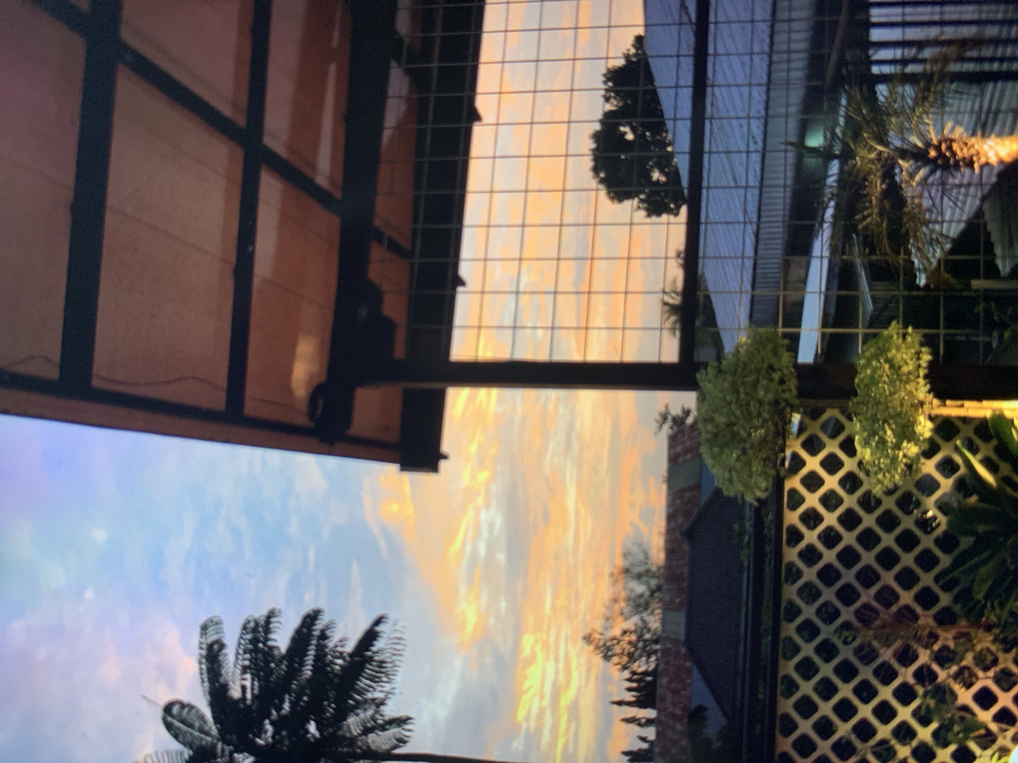 The image captures a tropical sunset over what appears to be a residential area in Ciamis, Indonesia. The sky is painted with vibrant hues of orange, yellow, and pink, with scattered clouds. In the foreground, a roof structure with an orange translucent covering is visible, supported by dark beams. A wire mesh fence runs across the mid-ground, offering a view of the landscape beyond.

To the left, a tall palm tree stands silhouetted against the colorful sky. Below the fence, decorative lattice work can be seen, illuminated by warm lighting. Two meticulously shaped topiary bushes are also present, one slightly larger and higher than the other.

Further in the background, residential rooftops are visible, some with corrugated metal. The scene suggests a peaceful evening setting, possibly from a balcony or patio area. The presence of palm trees and the style of the houses are consistent with a location in Indonesia, like Ciamis. No people are visible in the image. The overall atmosphere is serene and evokes the beauty of a tropical sunset.