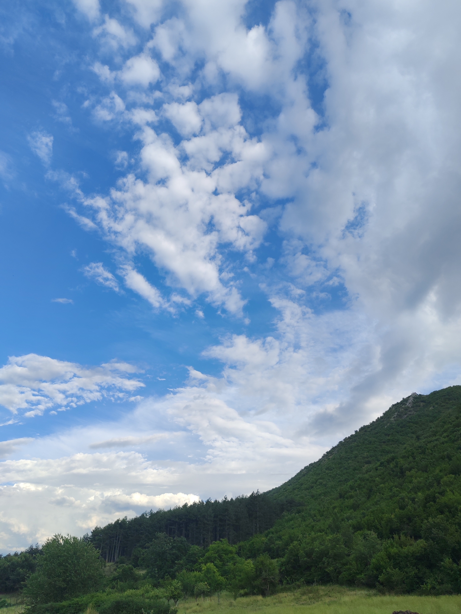 The image depicts a vast expanse of blue sky filled with scattered white clouds. The clouds vary in density, with some appearing wispy and thin, while others are more dense and fluffy. The lower portion of the image is dominated by a lush green hillside covered in dense vegetation. The hillside slopes upwards from right to left, revealing a dark green forest of trees. In the foreground, there is a grassy area with some scattered bushes and trees, suggesting a natural, outdoor landscape. The lighting suggests it is daytime, possibly late afternoon, as indicated by the soft, diffused light. There are no people or discernible man-made structures visible in the image. The overall scene is one of a natural, undeveloped landscape under a dynamic sky.