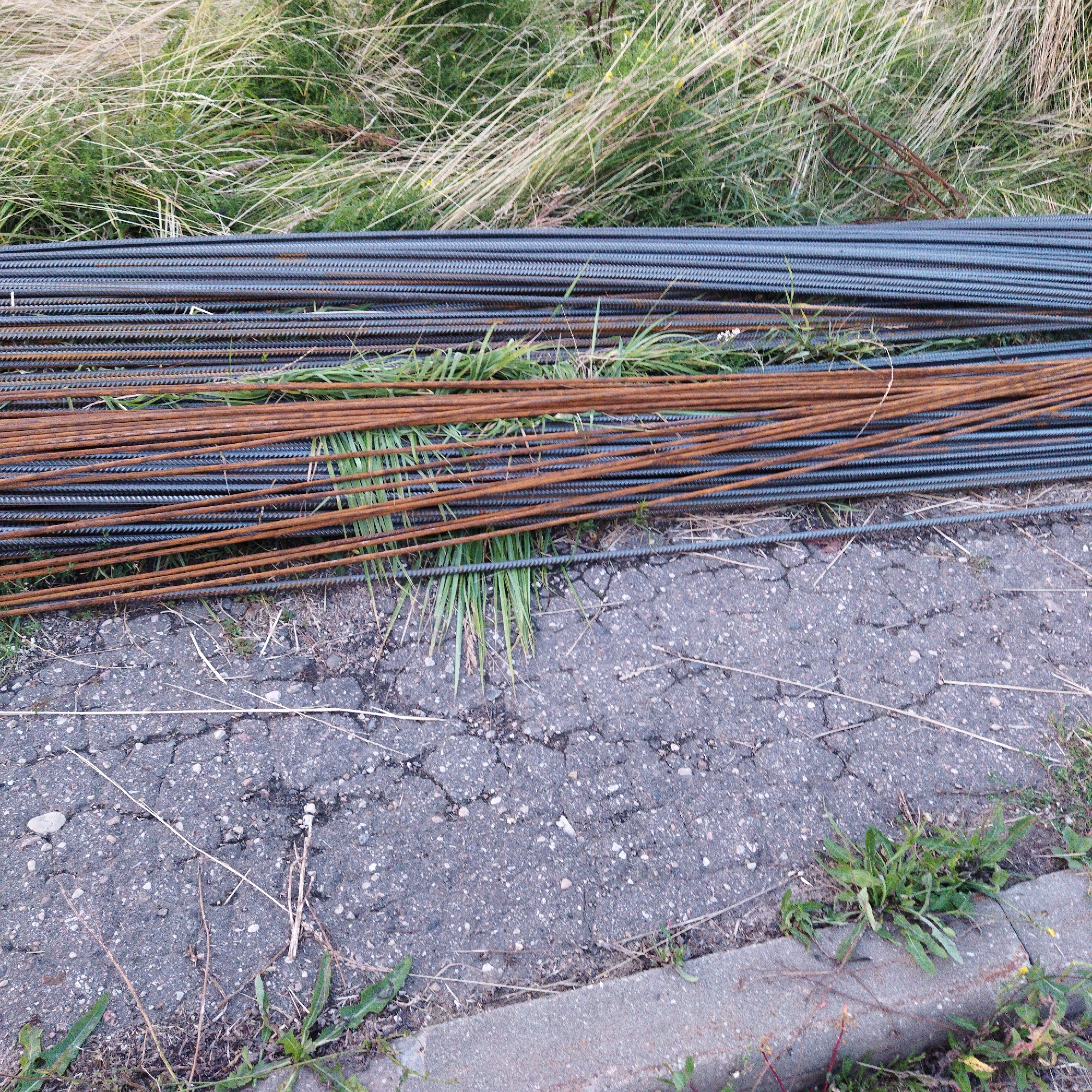 The image shows a pile of rebar, some dark gray and some rusted, lying on the ground next to overgrown grass and a cracked asphalt surface. In the lower right corner, a concrete curb is visible. There are no people or animals present in the image, and no discernible actions are taking place. The scene appears to be an outdoor area, possibly a construction site or a storage area. The environment is characterized by natural elements like grass and weathered man-made materials like asphalt and rebar.