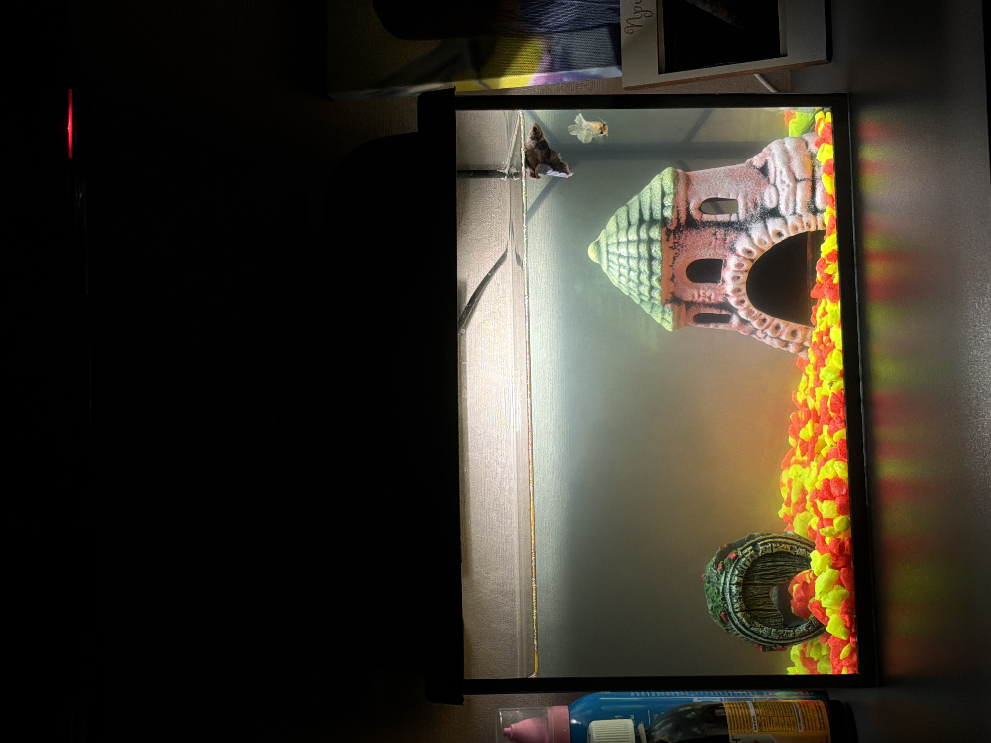 The image depicts a fish tank with gravel, a decorative castle, a log, and two fish. The location is unknown and not indicated in the image.