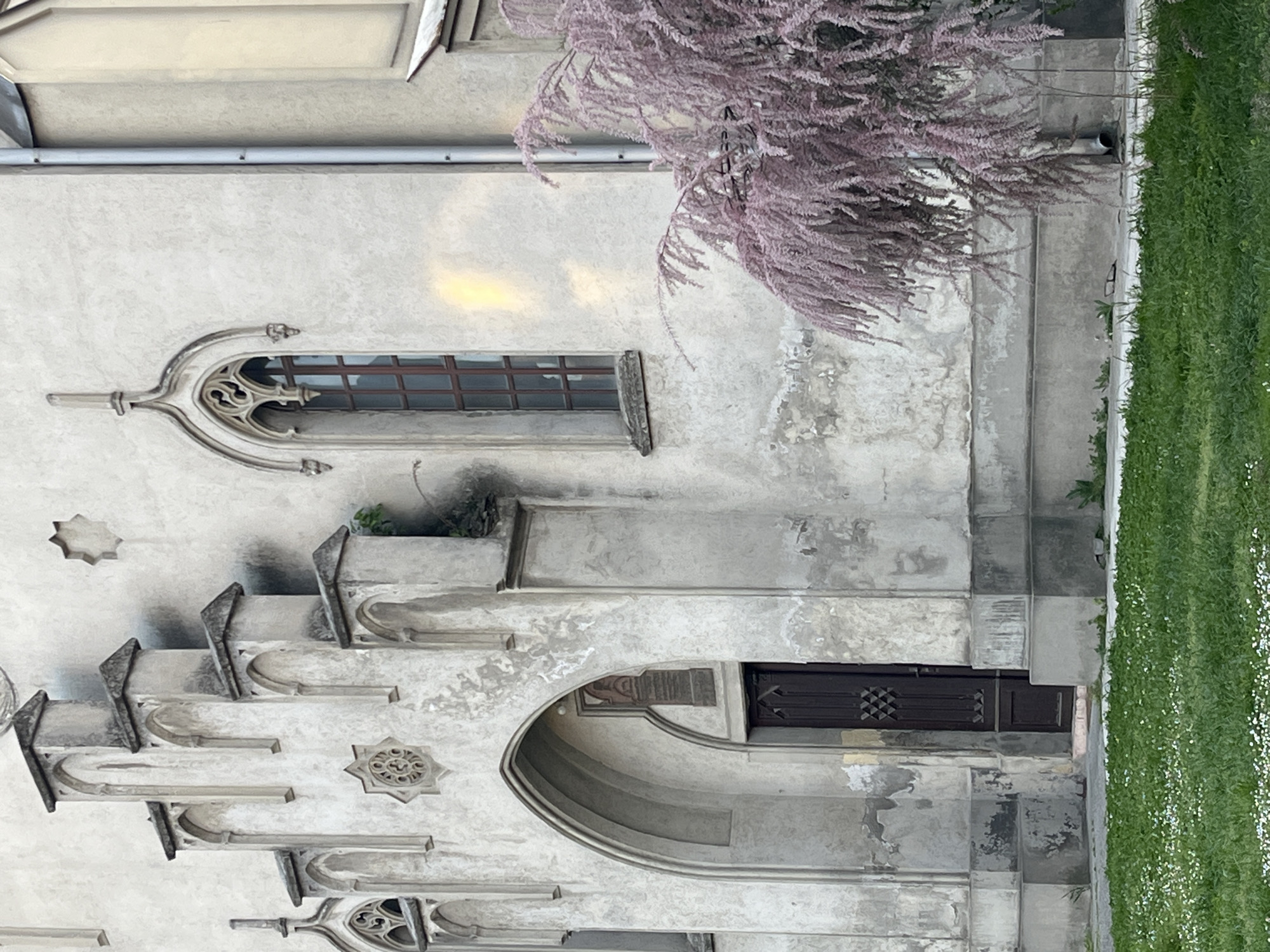 The image shows the exterior of a building in Novi Sad, Serbia, likely a church or historical structure. The facade is light-colored with ornate architectural details, including Gothic-style windows, arched doorways, and decorative stair-step features. A small tree with feathery purple-pink foliage is partially visible in the upper right corner. A patch of green grass borders the building's exterior. The building appears aged, with weathered surfaces and visible signs of wear.