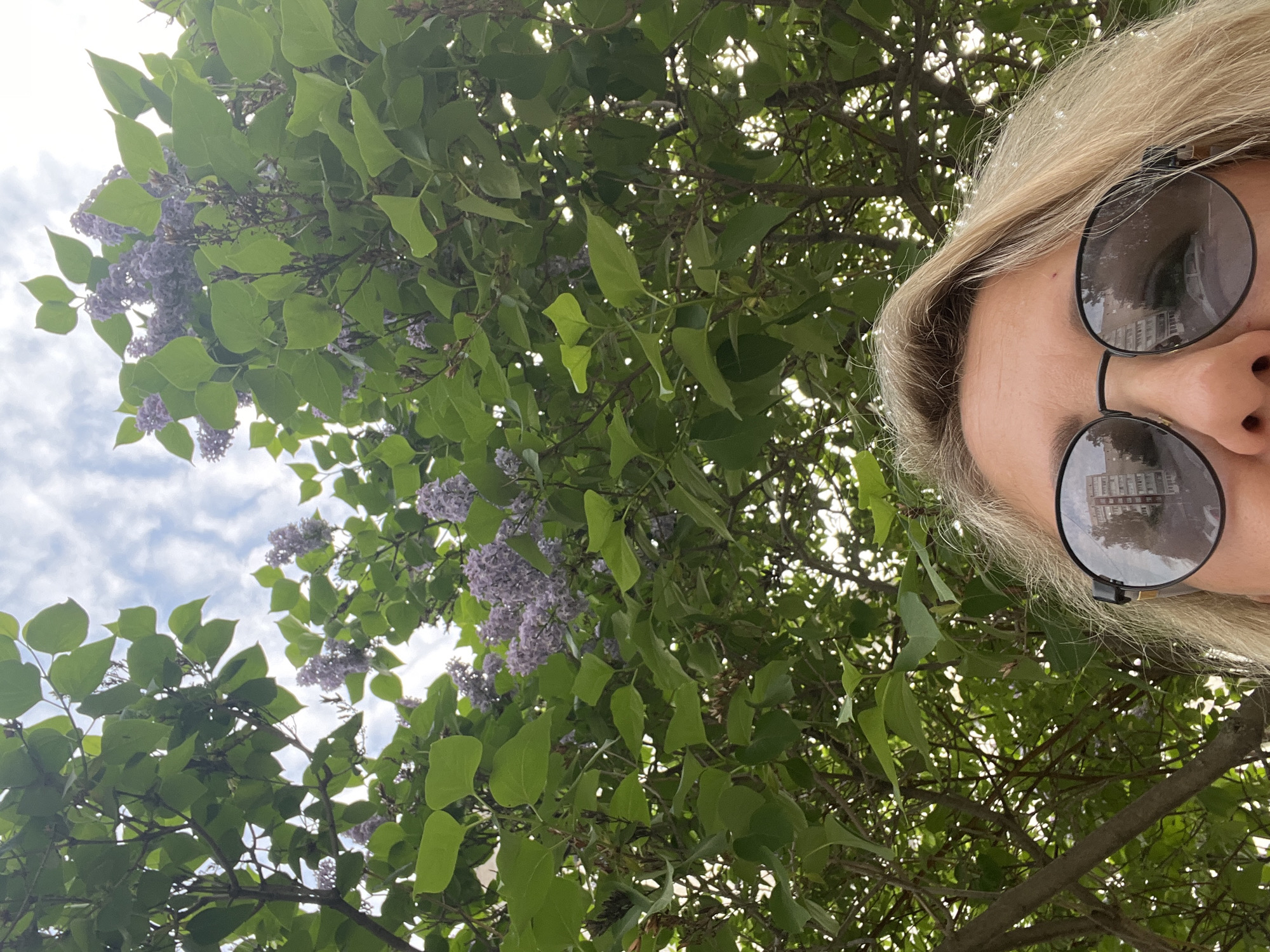 The image captures a person with blonde hair and round sunglasses, seemingly taking a selfie from a low angle looking up. The reflection in the sunglasses shows a building, suggesting an urban environment. Above and around the person is a tree with green leaves and purple flowers, likely a lilac tree. Patches of sky with light clouds are visible through the branches. Given the information, the location is Chaikovsky, Russia. The interaction is a self-portrait taken outdoors amidst blooming trees.