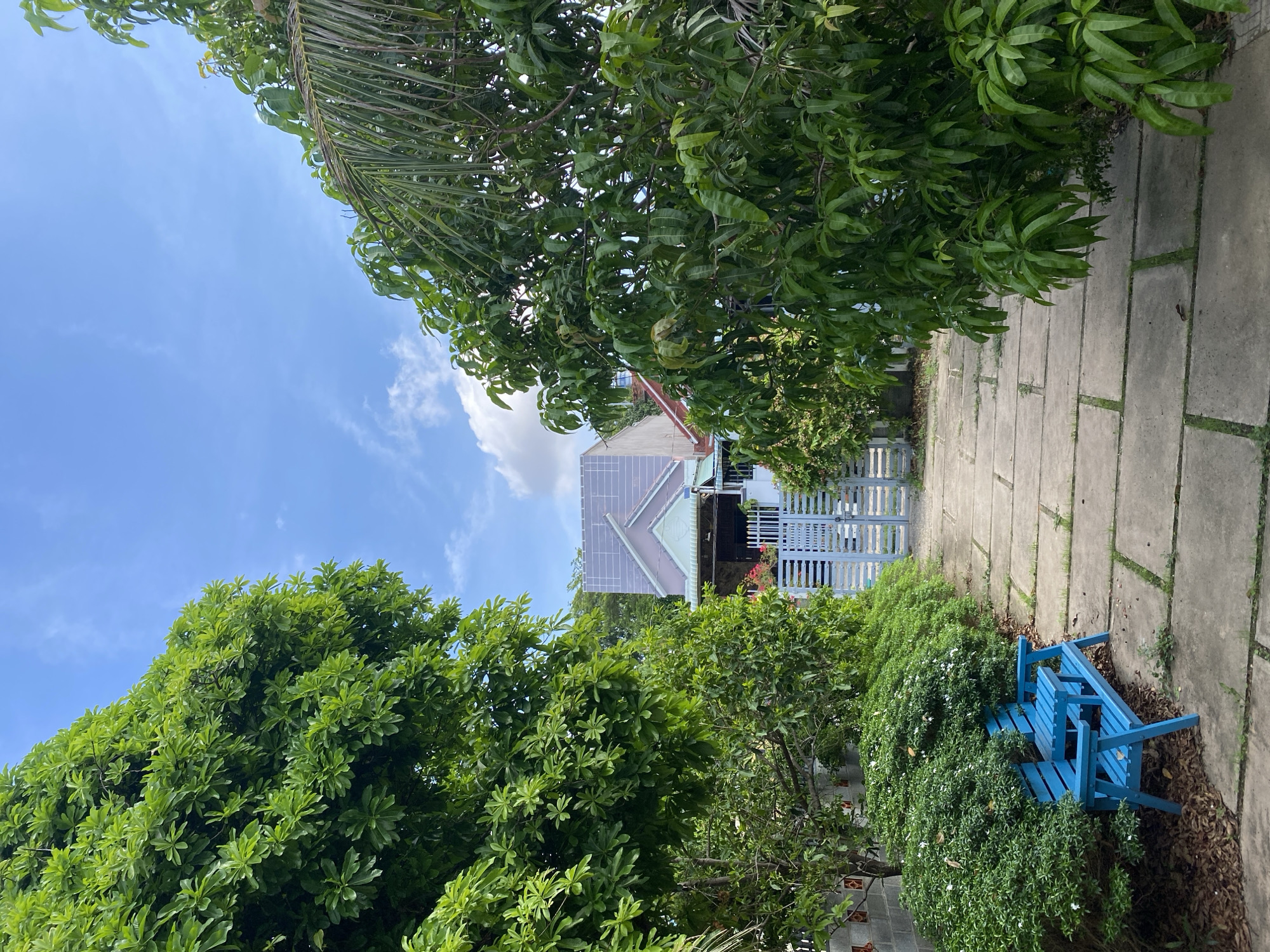 The image shows a pathway of square concrete slabs leading through a lush green garden towards a house in Mũi Né, Vietnam. On the left side of the pathway, a bright blue wooden bench with a small attached table is situated next to a dense bush with small white flowers. The pathway is bordered by large trees with vibrant green foliage on both sides, partially obscuring the view of the house. The house itself has a light-colored, multi-pitched roof and a light blue gate. The sky above is blue with scattered white clouds.