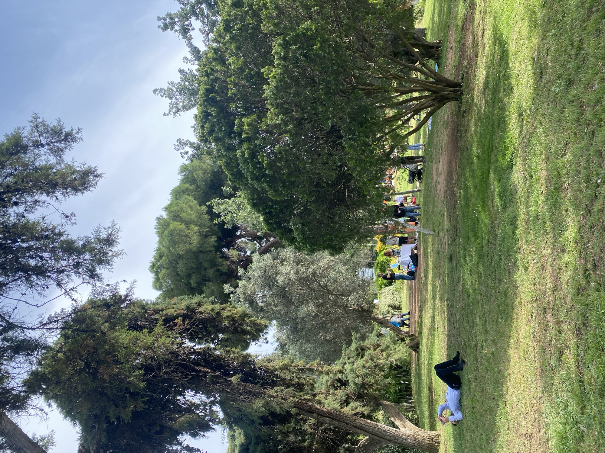 This image depicts a public park in Barcelona, Spain, under a clear, bright sky with scattered thin clouds. The scene is dominated by varied tree species, including tall conifers with drooping branches on the left, a large bushy tree in the mid-right, and other broadleaf trees, some with lighter, silvery-green foliage, contributing to dense overhead canopy and shaded areas.
In the foreground, slightly to the left, a person wearing a light blue collared shirt and dark trousers or jeans is lying on their back on the green grass. Their head is turned towards the left, and both hands are raised, appearing to hold a white mobile phone or similar device above their chest. Dark shoes are visible near their feet.
In the mid-ground, towards the right, a group of approximately eight to ten individuals is gathered. They are positioned around a white-covered table. One person in a black shirt stands behind the table. Others are standing or sitting, engaged in interaction. A dark stroller or pushchair is visible among this group. Further back, a dirt path winds through the trees, and additional people are partially visible. The ground is primarily covered in green grass, with some patches of bare earth along the path and near the trees. Sunlight casts distinct shadows on the grass, indicating a sunny day.
