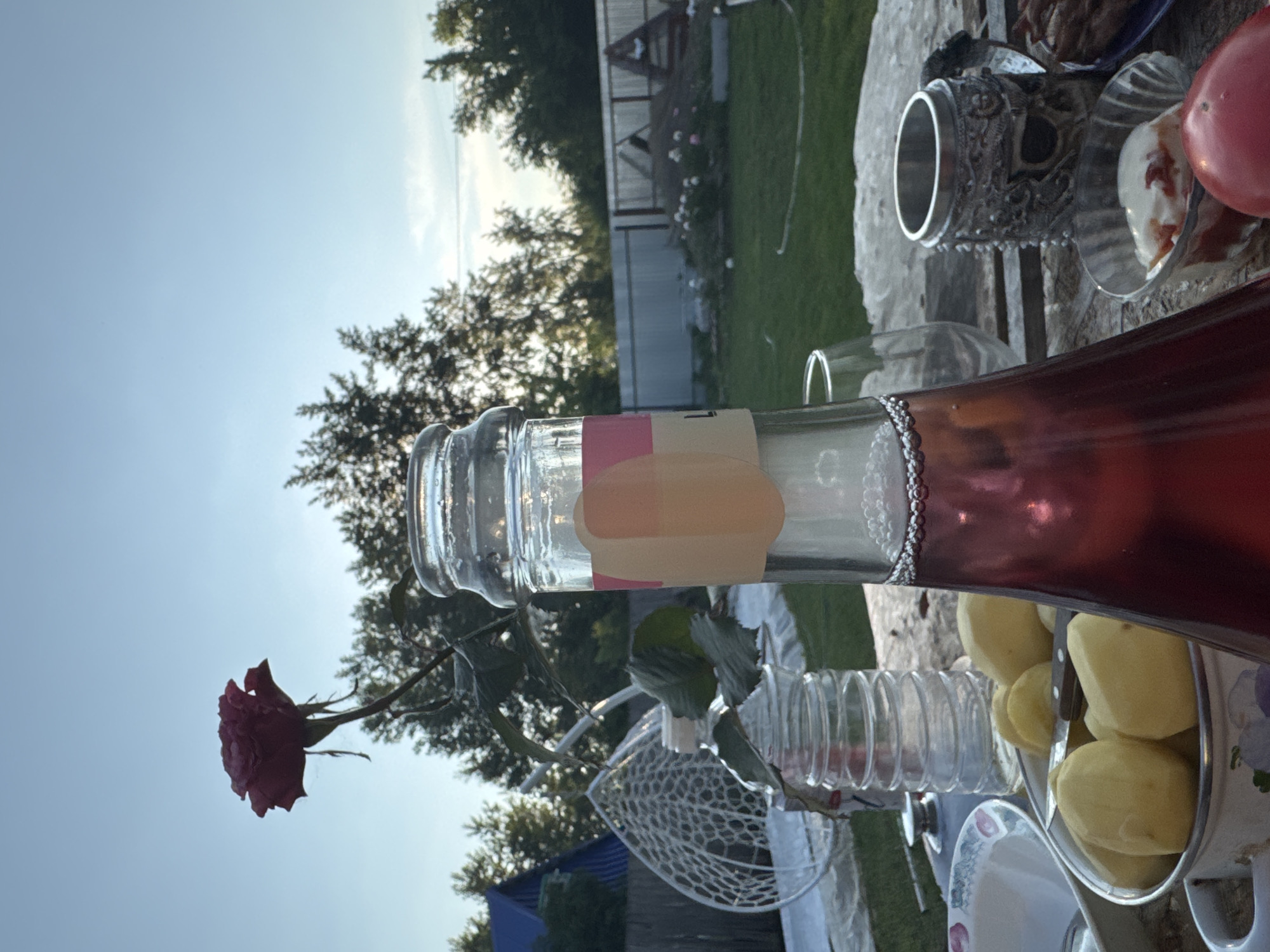 The image depicts an outdoor setting, likely a backyard, with a table laid out for a meal. In the foreground, a glass bottle with red liquid and a pink and beige label is prominent. Beside it, a metal mug with a skull design sits on the table. A small glass bowl contains a white and red substance, possibly a dessert or dip, and a red tomato is partially visible. A bowl of peeled potatoes and a knife are also on the table. In the background, a wooden fence encloses a green lawn with scattered white flowers. Trees and a blue-roofed structure are visible beyond the fence. A white net structure, possibly a hammock or swing, is to the left of the table. The sky is clear and blue with a few faint clouds, suggesting it's either early morning or late afternoon. The overall scene suggests a casual gathering outdoors. No specific landmarks or indications place this scene in Chaikovsky, Russia.