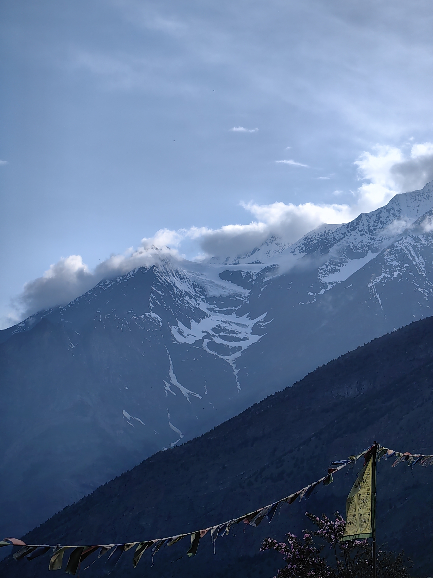 A scenic mountain landscape is captured in the image, featuring snow-capped peaks partially obscured by clouds. The foreground shows a dark, tree-covered slope with prayer flags strung across it. The sky is a light blue with wispy clouds. The image appears to be taken in Keylong, India, a location known for its Himalayan scenery. There are no people or animals visible in the frame, and no objects are actively being used.