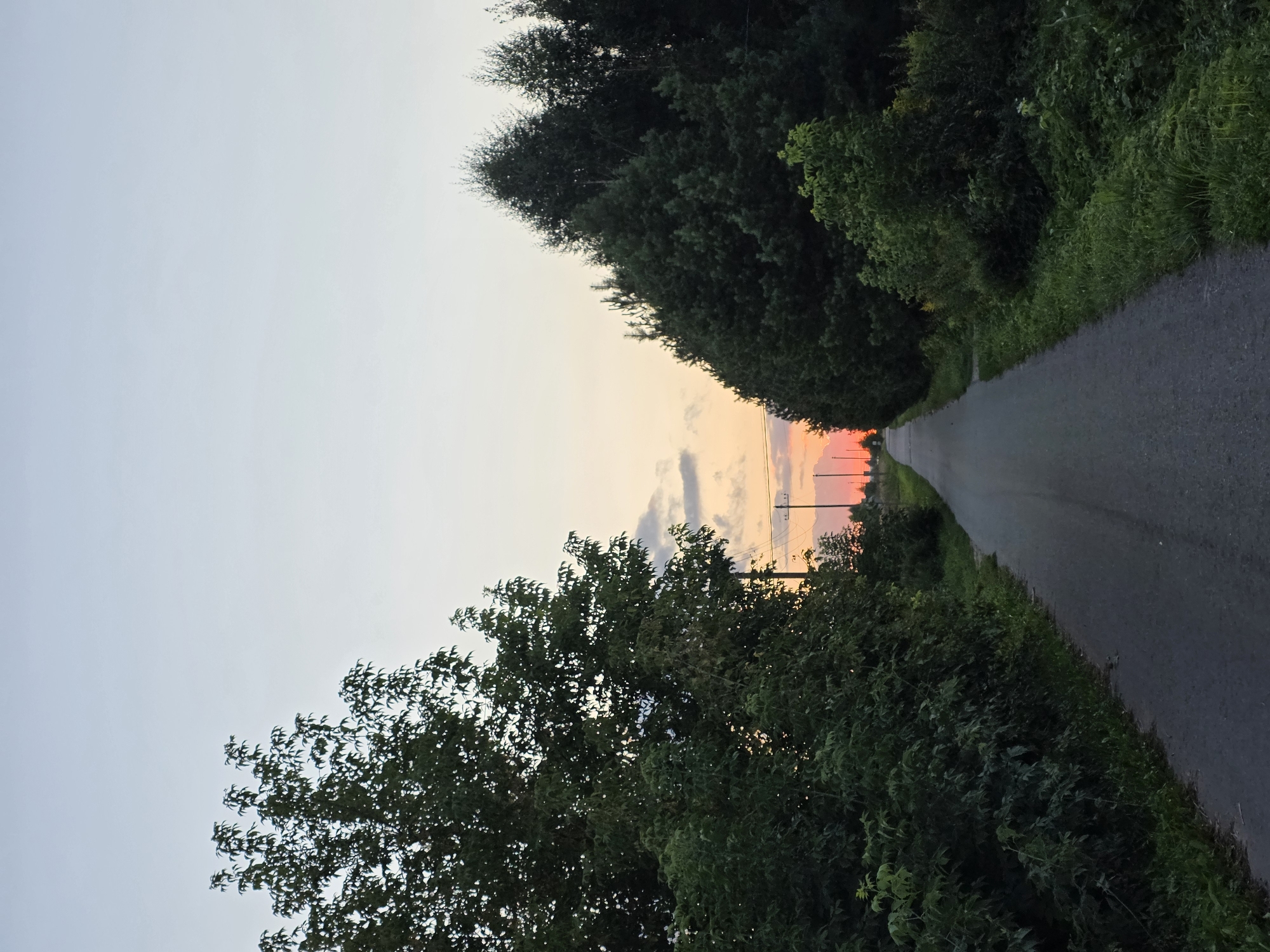 The image depicts a rural road at dusk, likely in or near the city of Речицы, Russia. The road is paved and appears to be an asphalt path, leading into the distance. On either side of the road are dense green trees and vegetation. The sky is a pale blue, transitioning into hues of orange and pink near the horizon, indicating the sunset. There are power lines visible in the distance, with a single utility pole on the right side of the road. The overall scene is tranquil and natural, with no people or specific structures visible apart from the power lines and the road itself.
