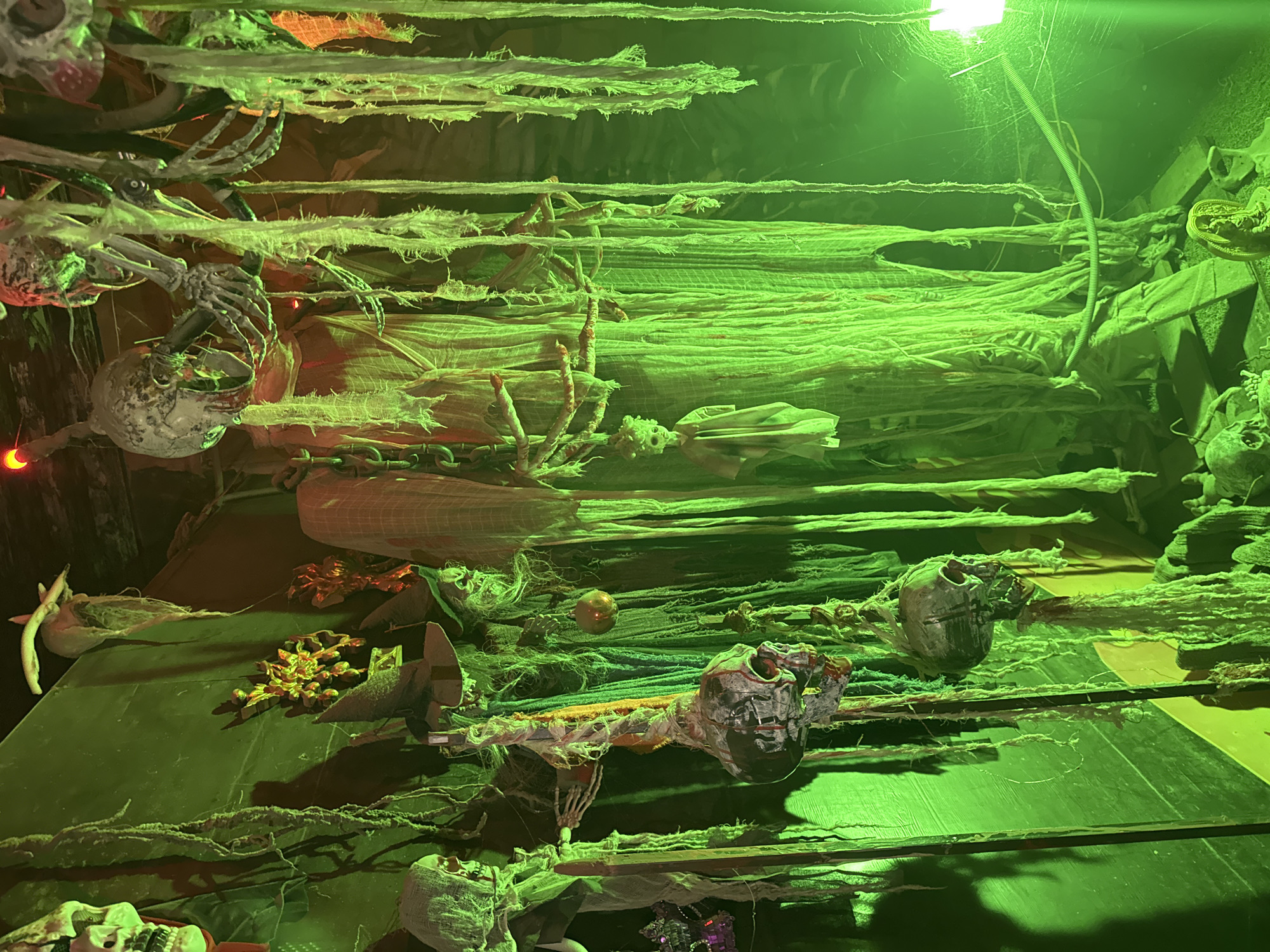 The image depicts a dimly lit, cluttered space decorated for Halloween. The dominant color is a lurid green, cast by unseen lighting, creating a spooky atmosphere. Hanging from the ceiling and walls are various Halloween props, including numerous skulls, some appearing to be skeletal heads with exposed teeth, and others are more stylized representations. Torn and tattered fabric, resembling cobwebs or decaying shrouds, drapes down, adding to the eerie ambiance. In the foreground and midground, several skulls are suspended by rope or wire, some with blood-like stains. There are also skeletal figures, or parts of them, visible amongst the hanging decorations. A few witch hats are present, one adorned with a spiky, golden ornament. In the background, a small, doll-like figure hangs, and at the bottom of the frame, more skulls and what appears to be a small statue or figurine are visible on the ground. The overall impression is one of a Halloween haunted house or elaborate decoration setup, devoid of any discernible human presence in the act of decorating or observing. There is no information in the image to suggest a location in Hoa Lư Ward, Vietnam, or any specific city.