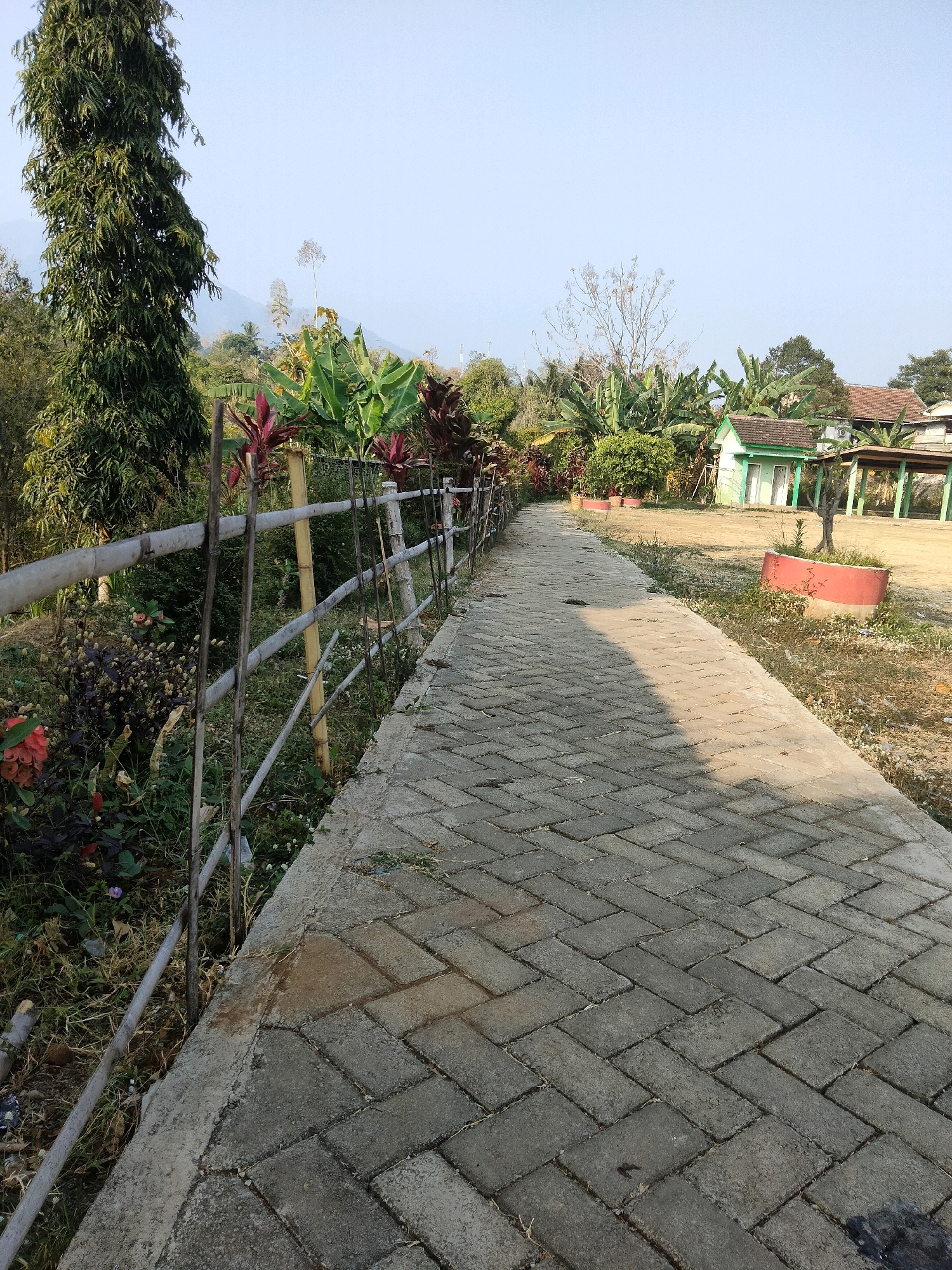 The image depicts a paved walkway made of interlocking grey bricks, leading into the distance. The walkway is bordered on the left by a simple fence constructed from bamboo poles and metal rods, with a variety of plants and foliage growing alongside it, including some with red and purple leaves. The right side of the walkway transitions into a dry, grassy area with scattered wildflowers and two circular planters, one red and one red and white. In the background, there are several buildings with green roofs and walls, characteristic of Indonesian architecture, set amidst lush greenery and trees. The sky is clear and pale blue, suggesting a sunny day. The overall impression is of a rural or semi-rural setting, possibly a school or community area in Sawahan, Indonesia.